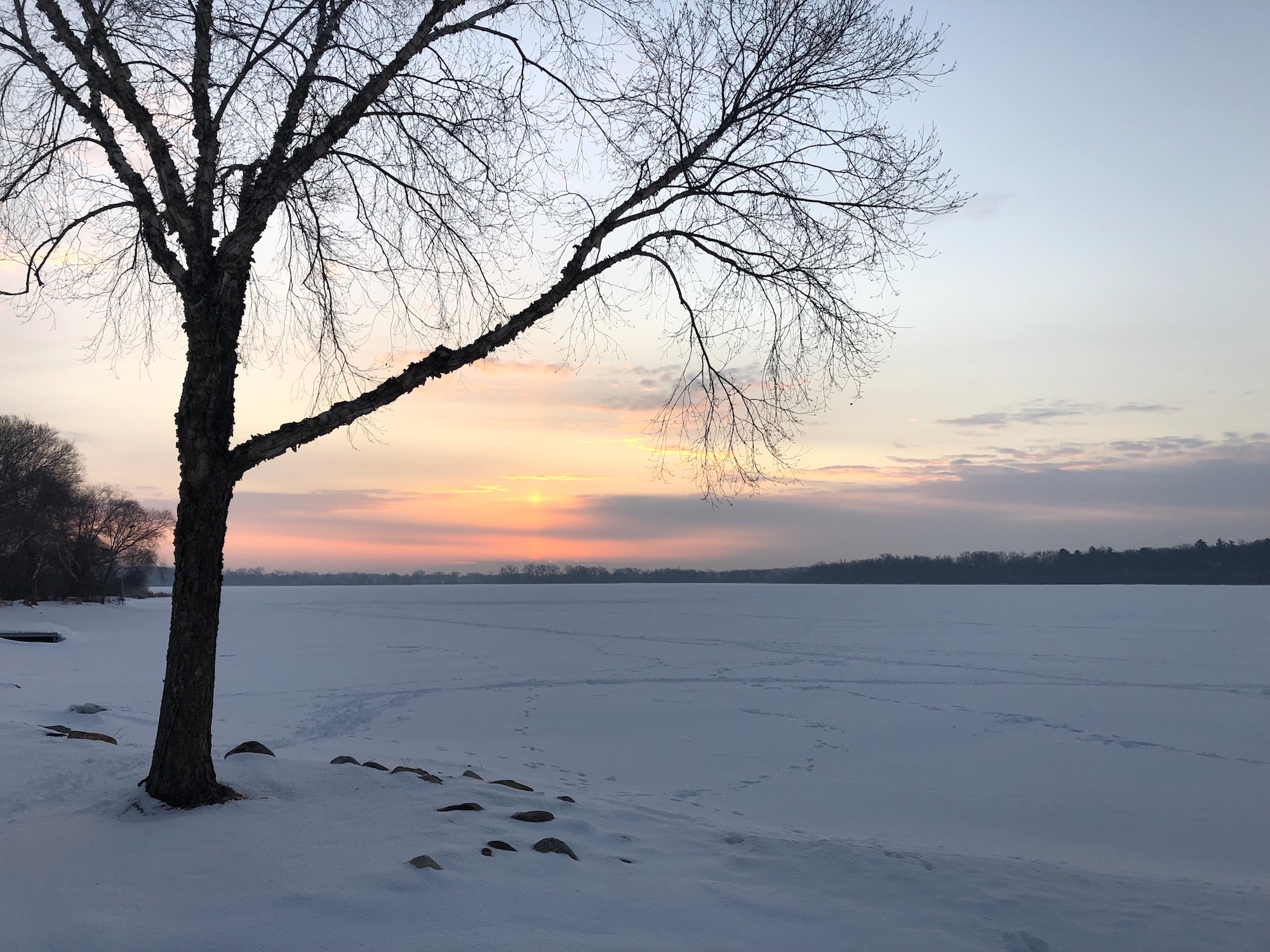 Lake Wingra on February 22, 2019.