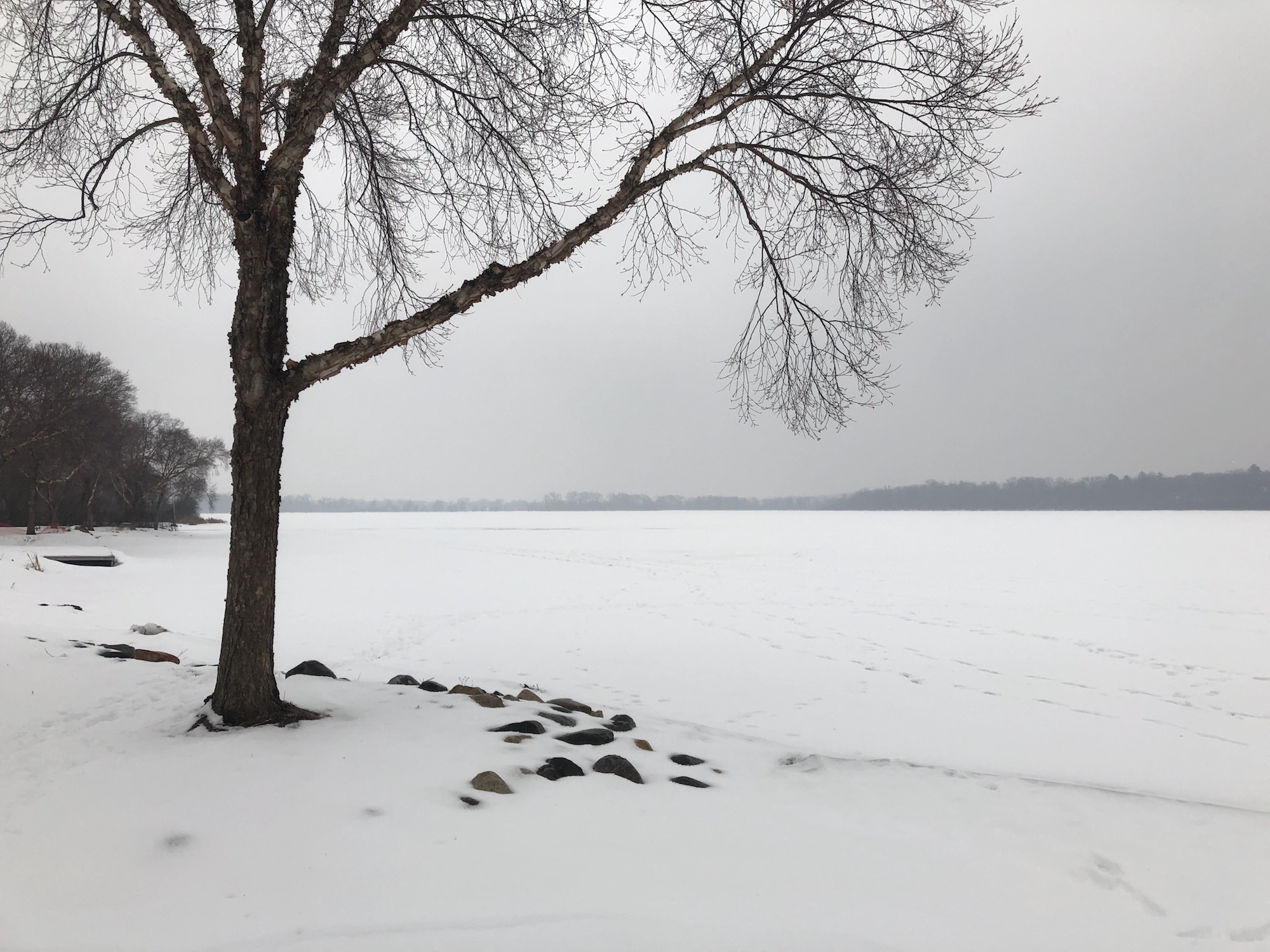 Lake Wingra on February 23, 2019.