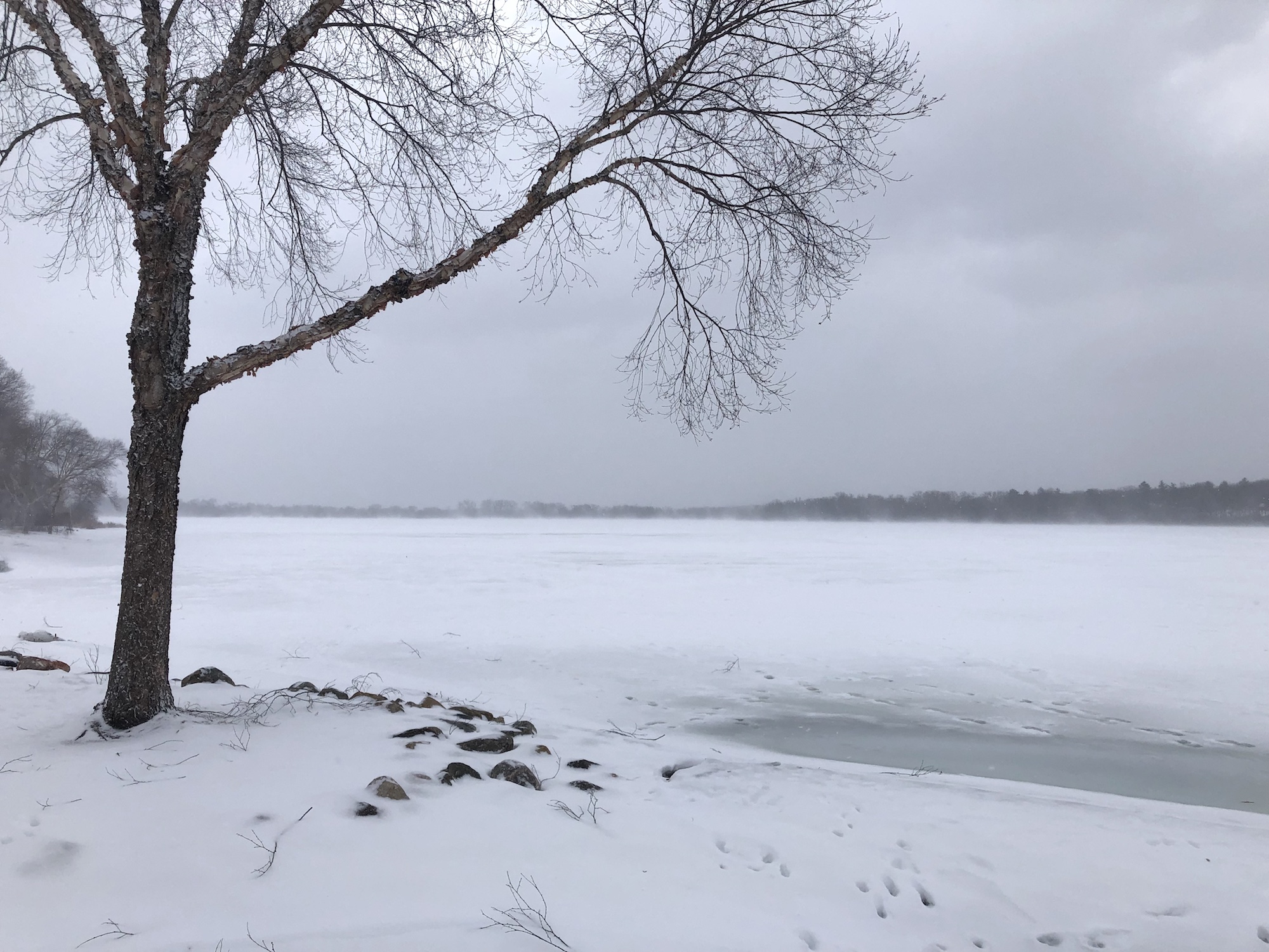 Lake Wingra on February 24, 2019.