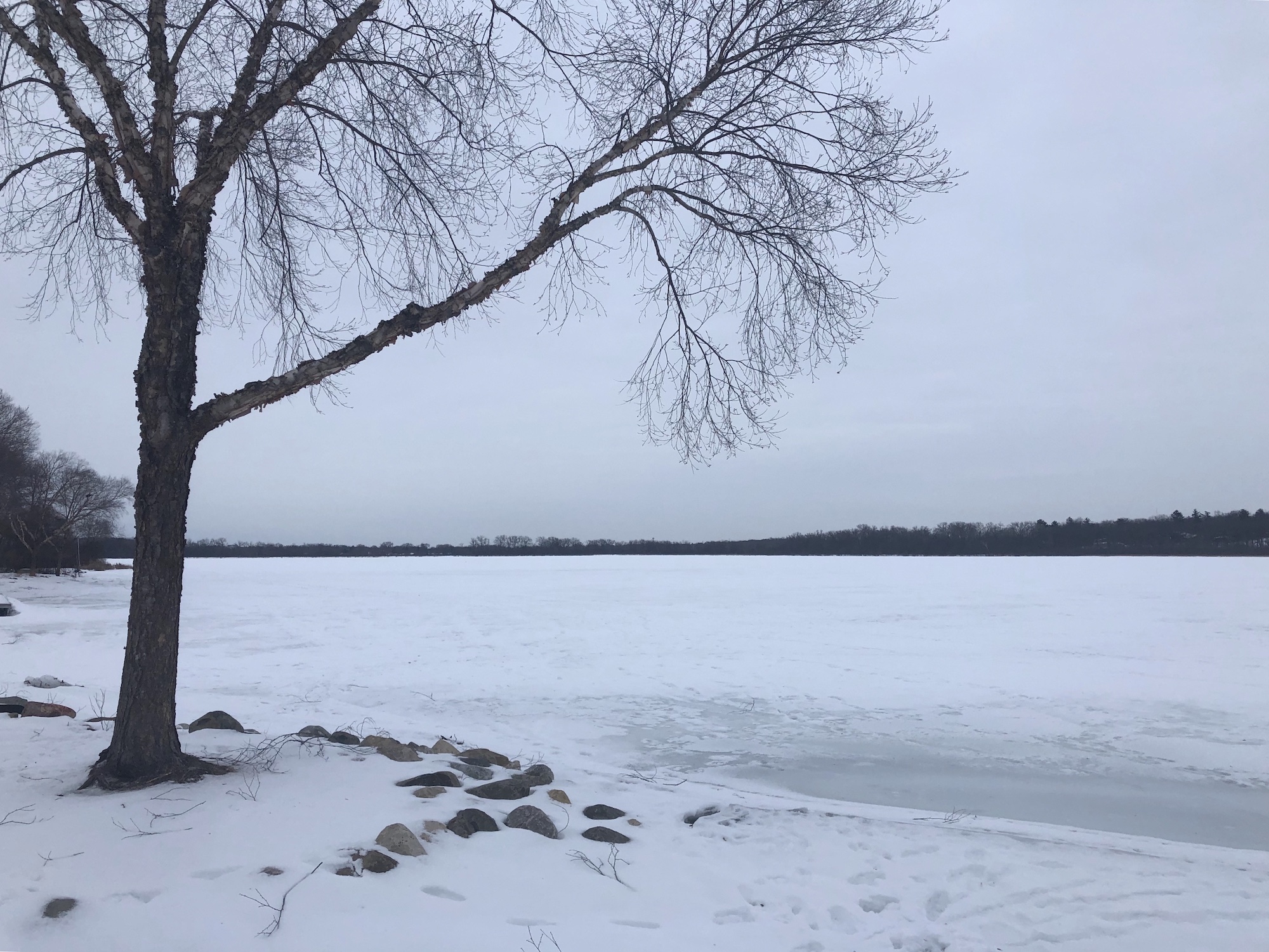Lake Wingra on February 26, 2019.