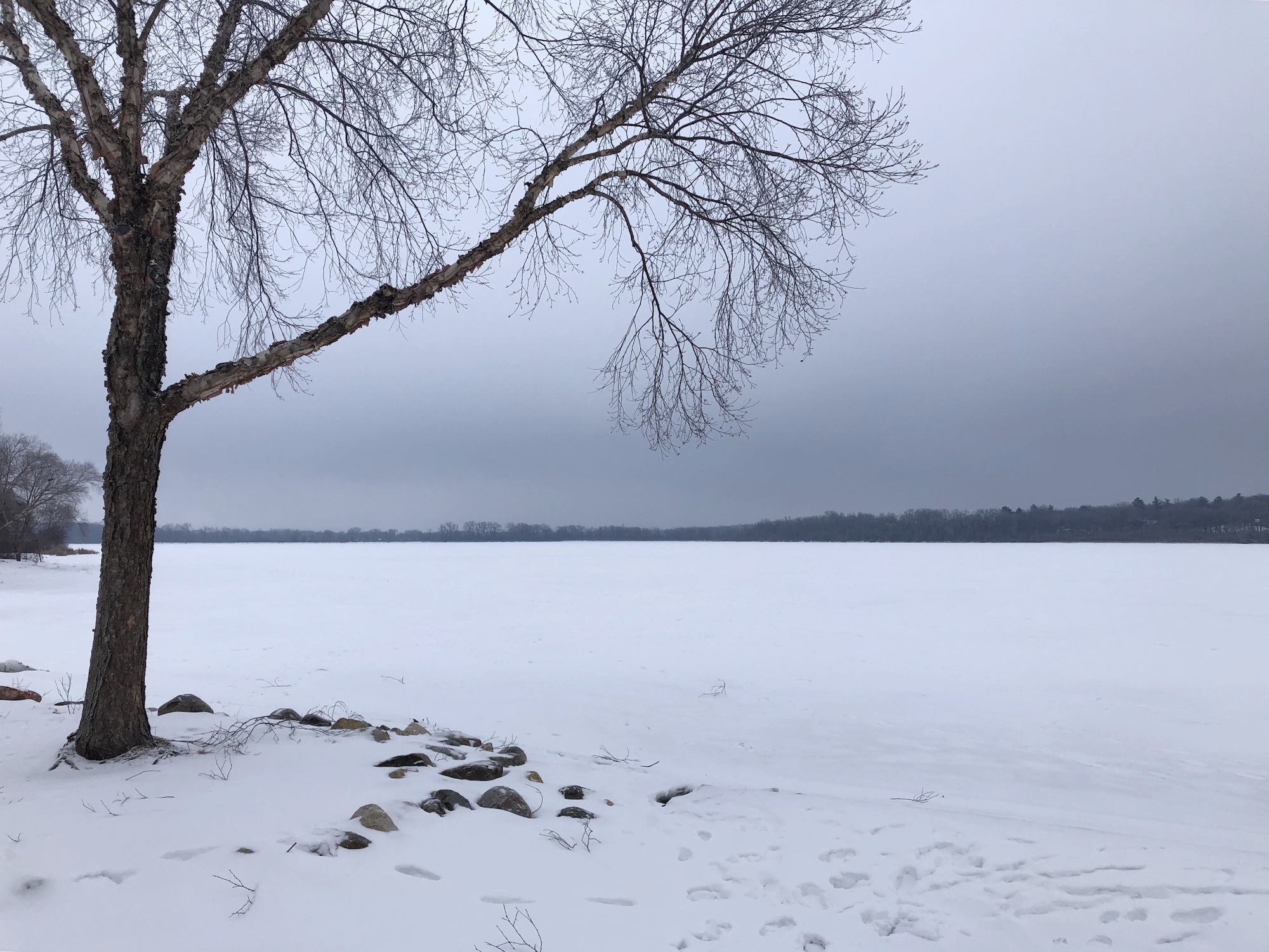 Lake Wingra on February 27, 2019.