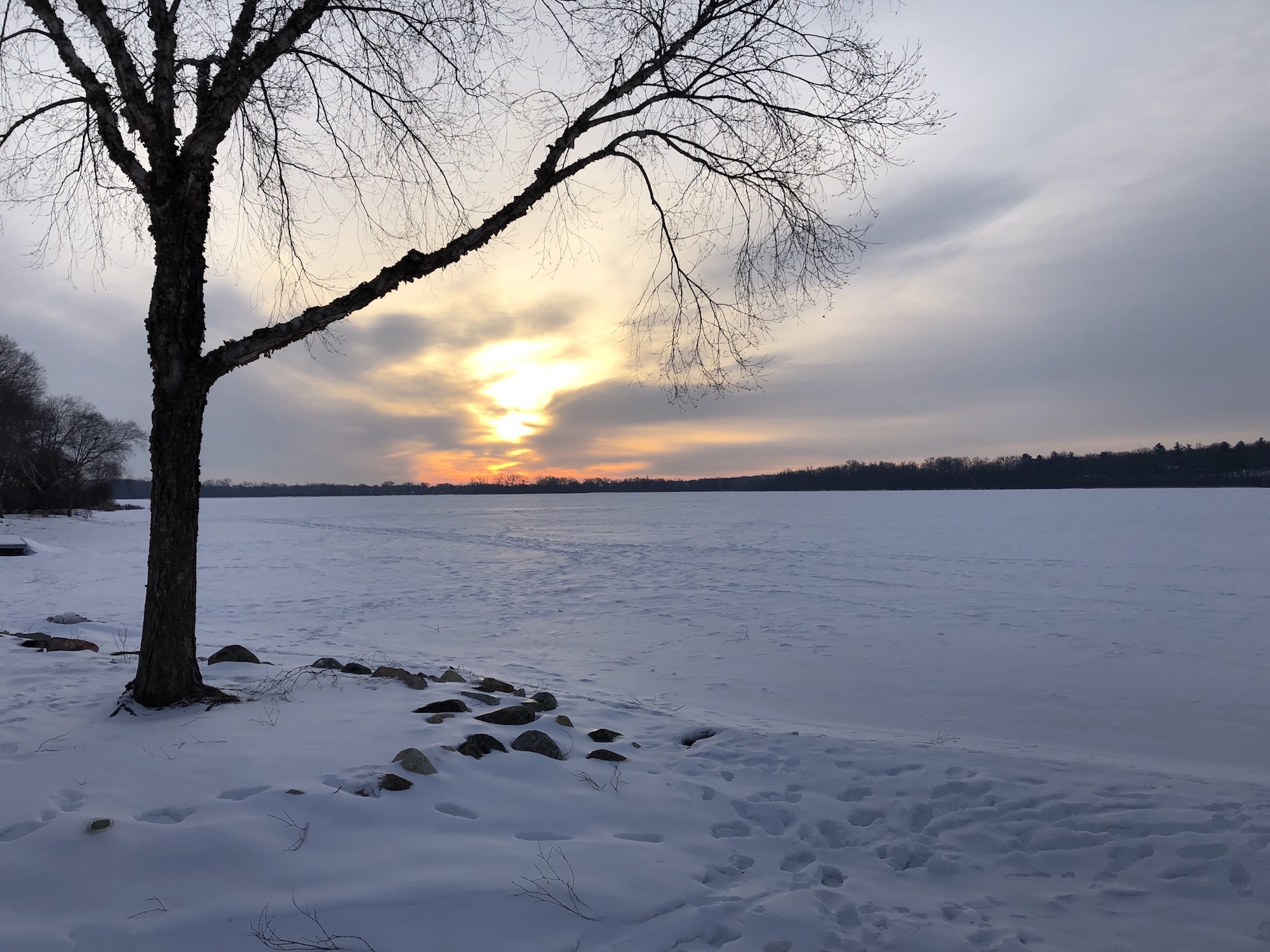 Lake Wingra on February 28, 2019.