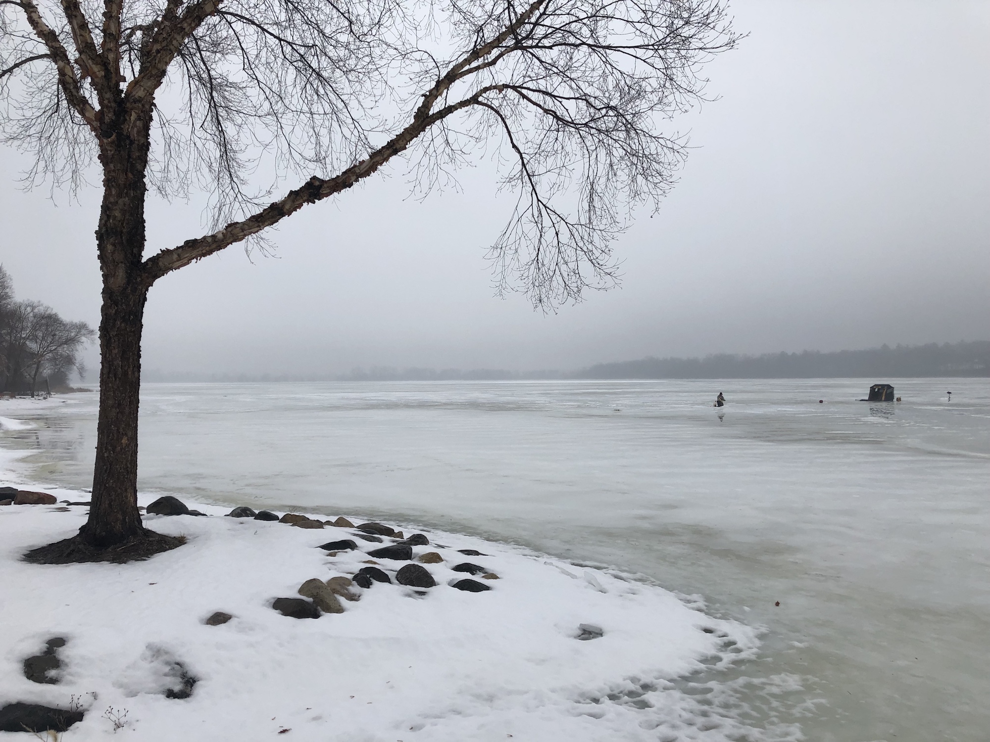 Lake Wingra on February 3, 2019.
