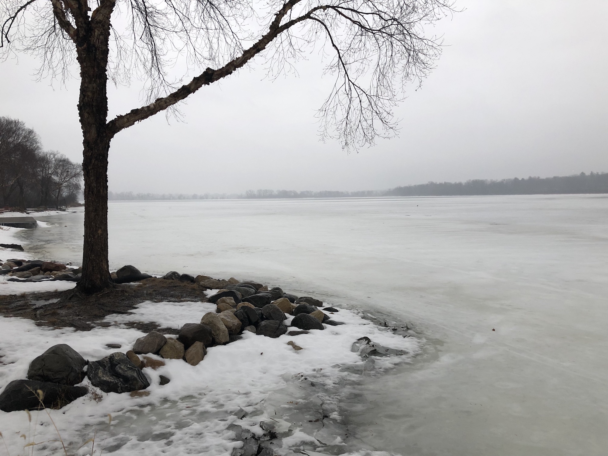 Lake Wingra on February 4, 2019.