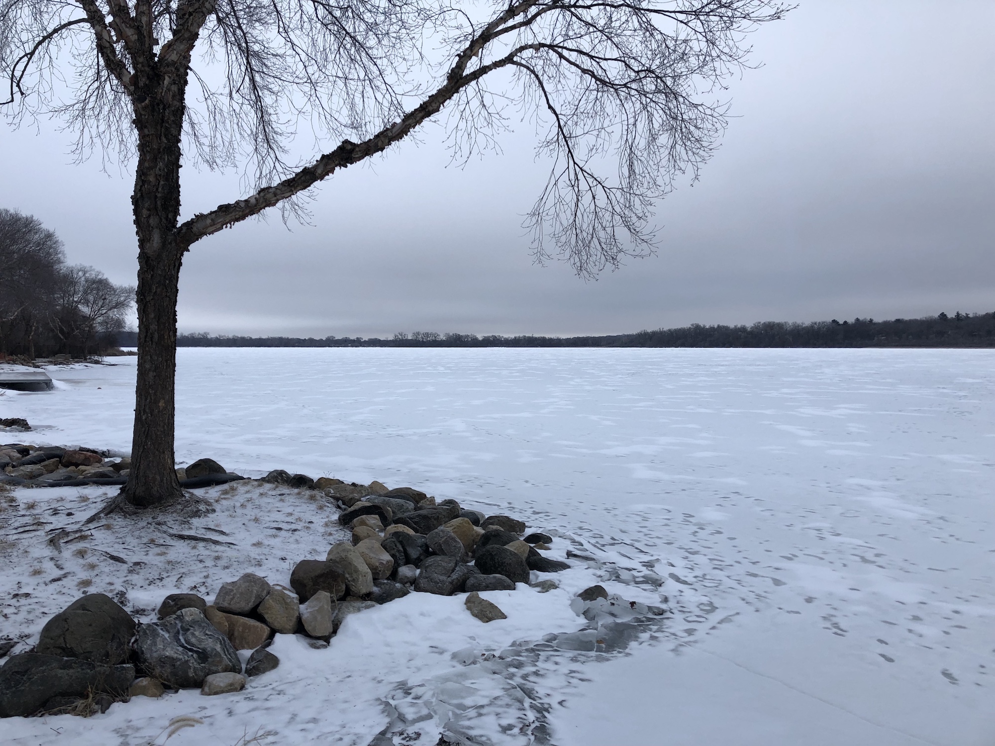 Lake Wingra on February 6, 2019.