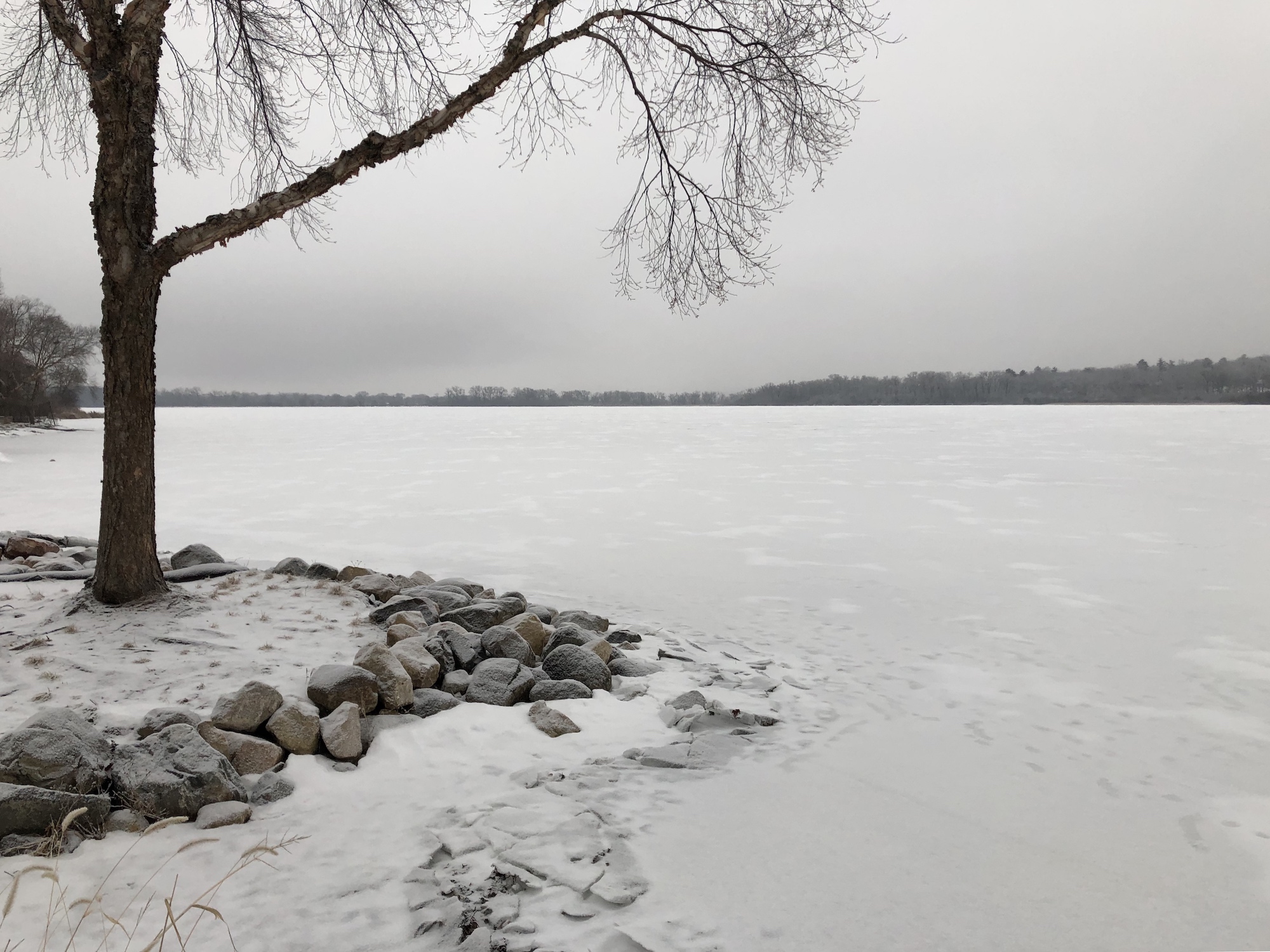 Lake Wingra on February 7, 2019.