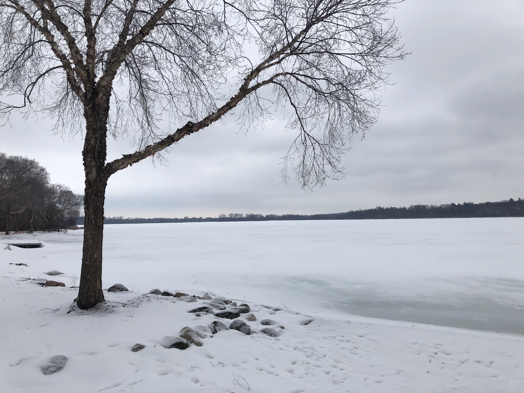 Lake Wingra on March 10, 2019.