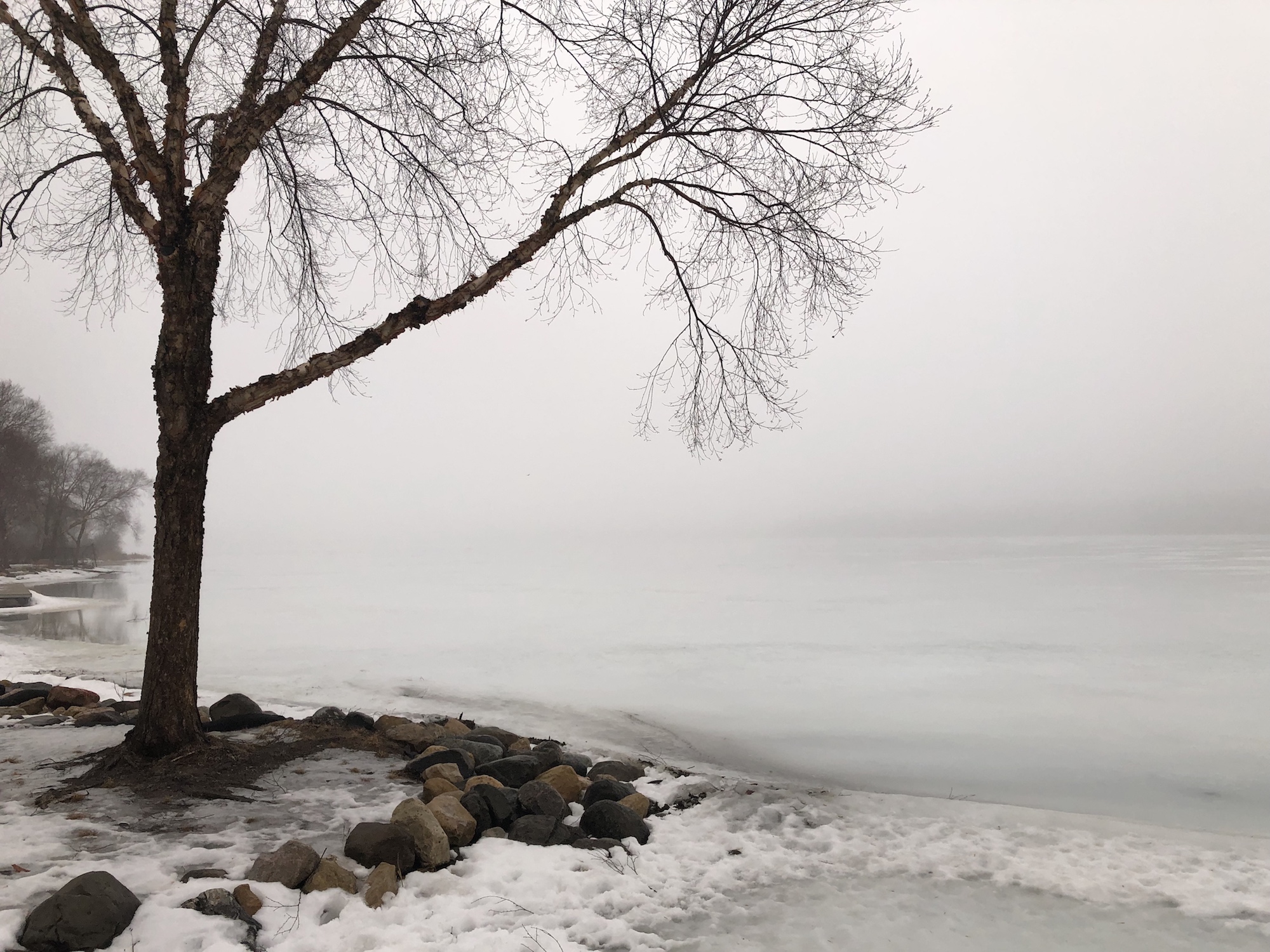 Lake Wingra on March 13, 2019.