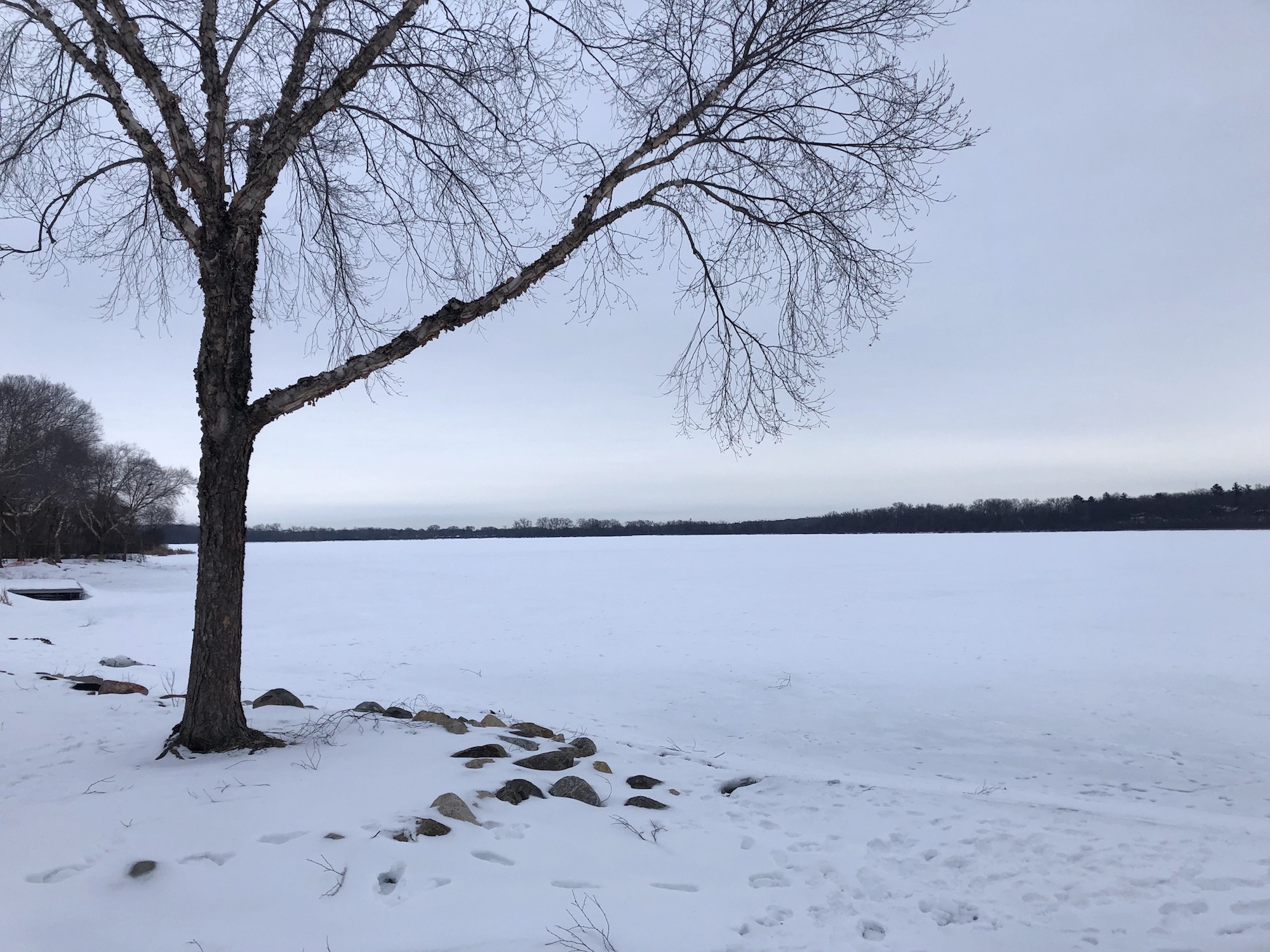 Lake Wingra on March 1, 2019.
