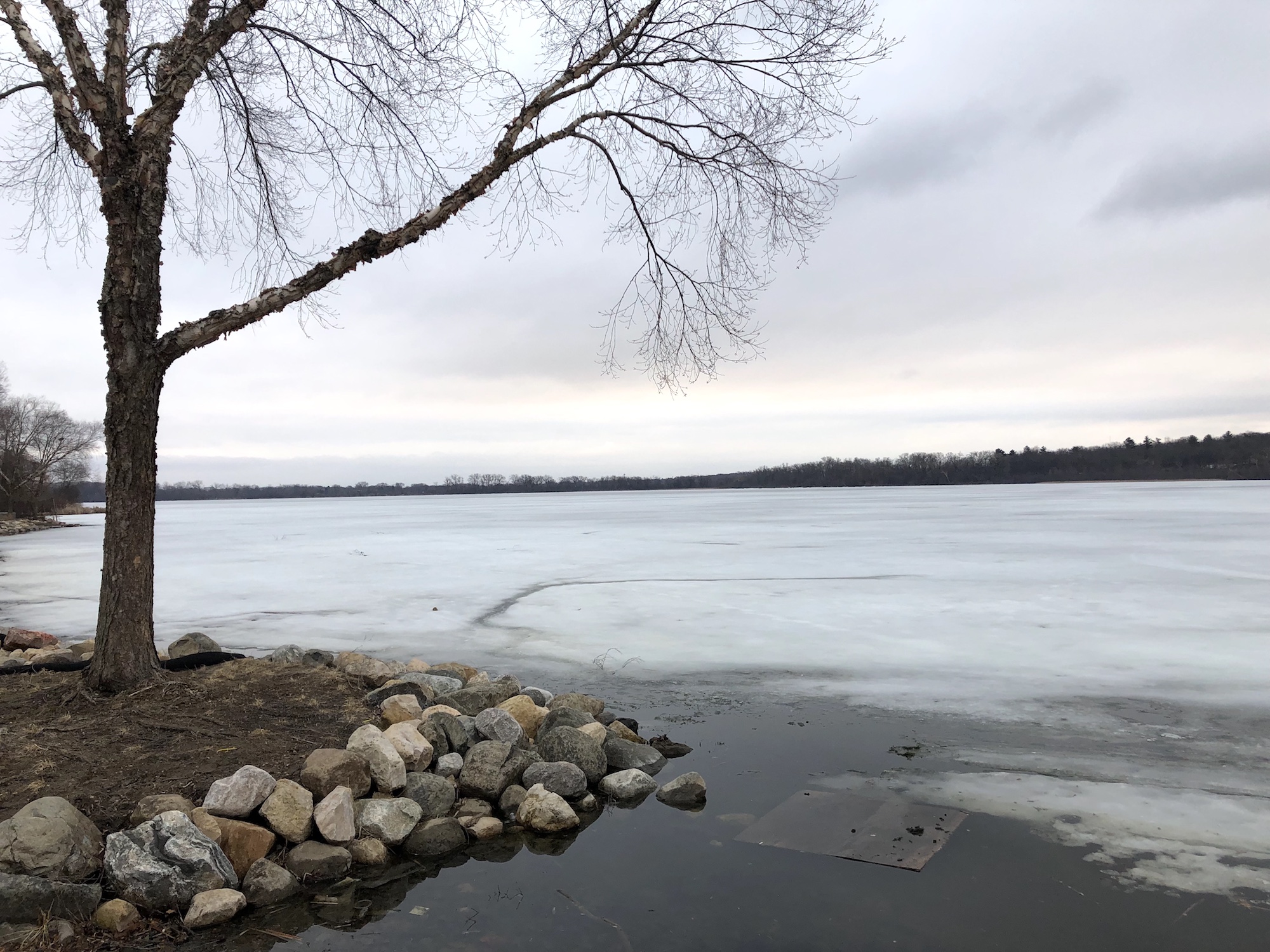 Lake Wingra on March 21, 2019.