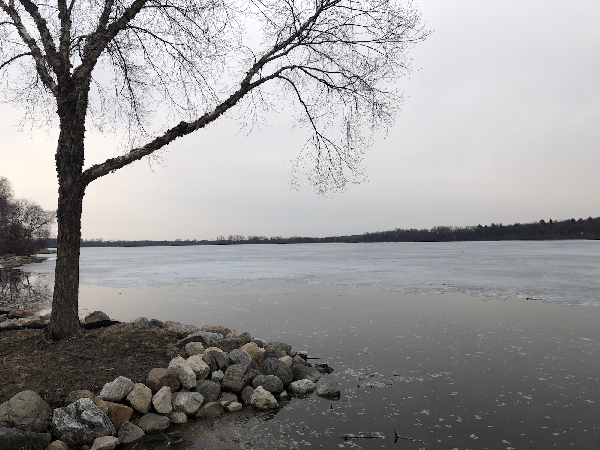 Lake Wingra on March 24, 2019.