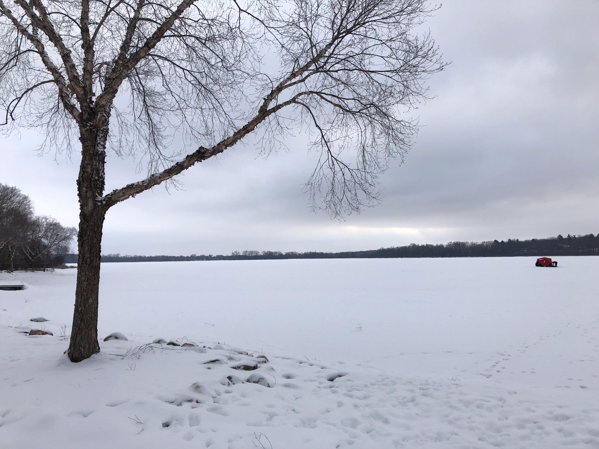 Lake Wingra on March 2, 2019.