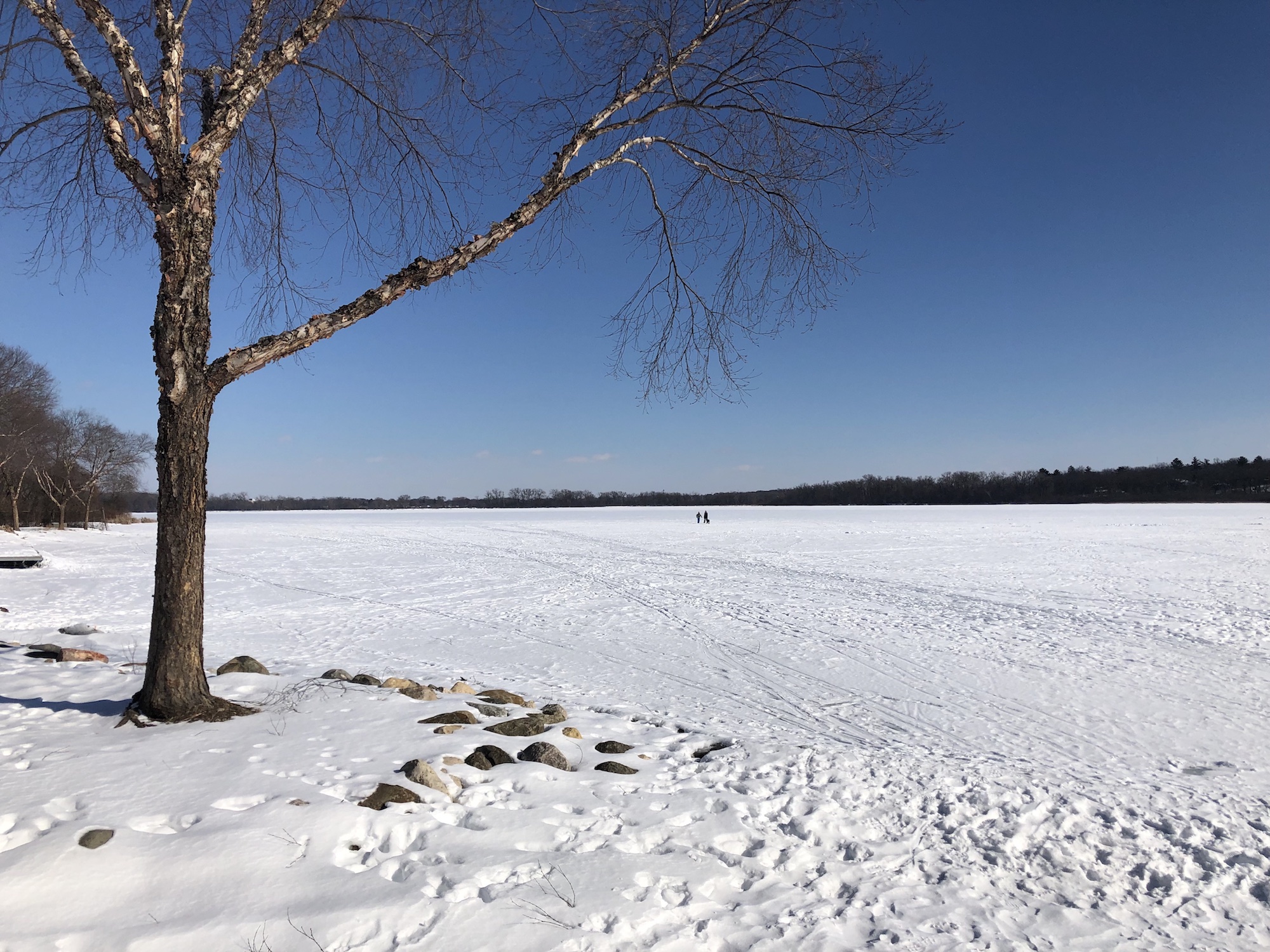 Lake Wingra on March 4, 2019.