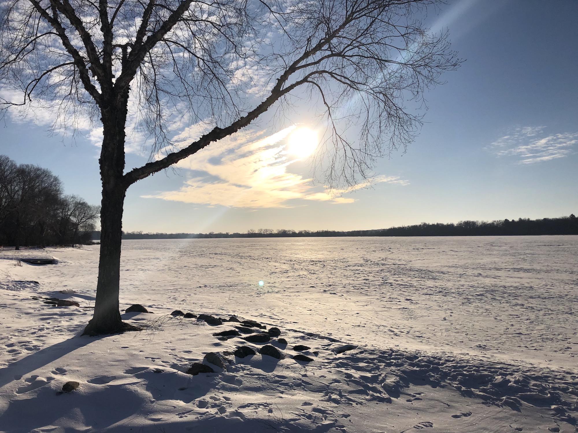 Lake Wingra on March 6, 2019.