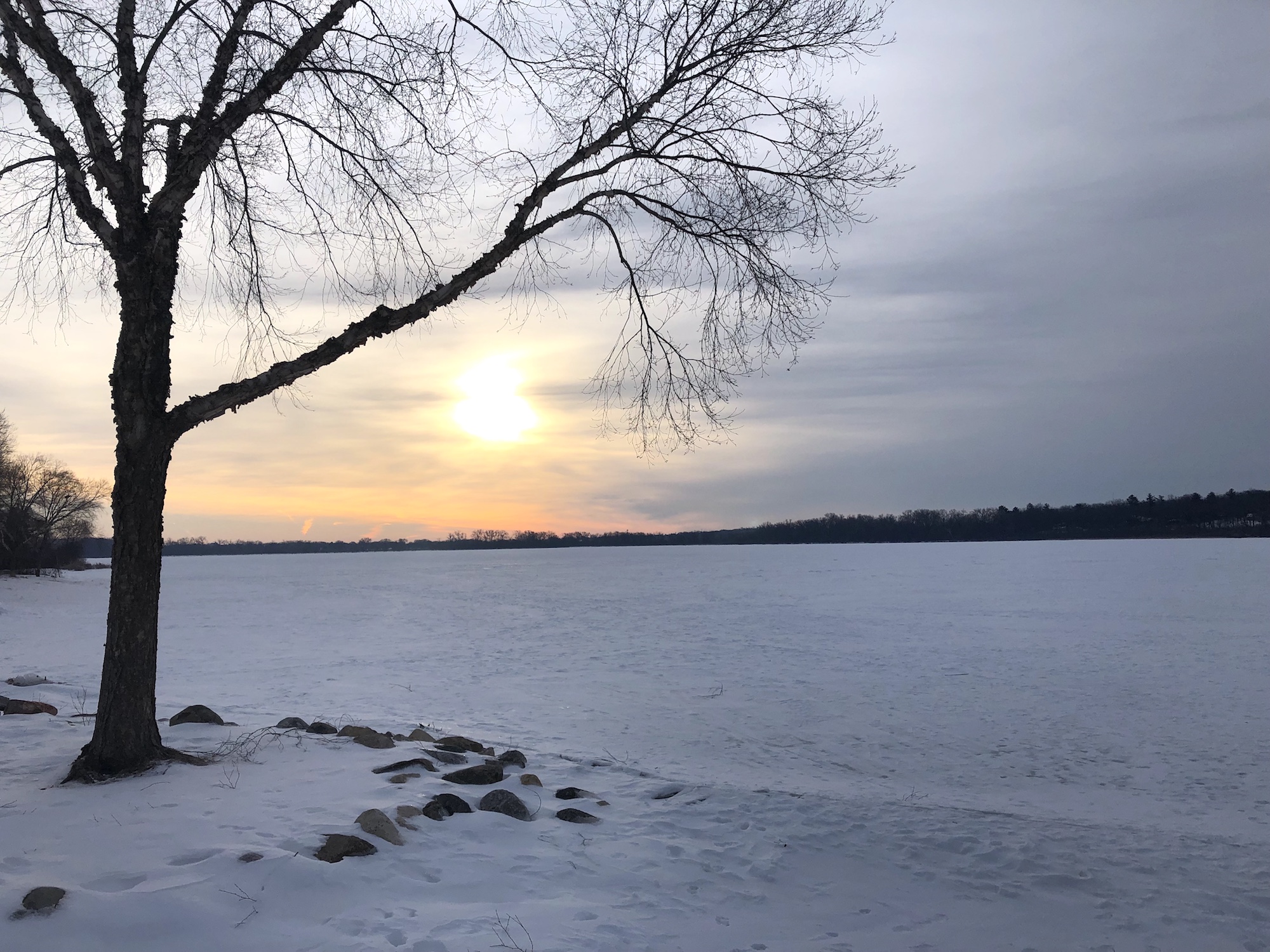 Lake Wingra on March 7, 2019.