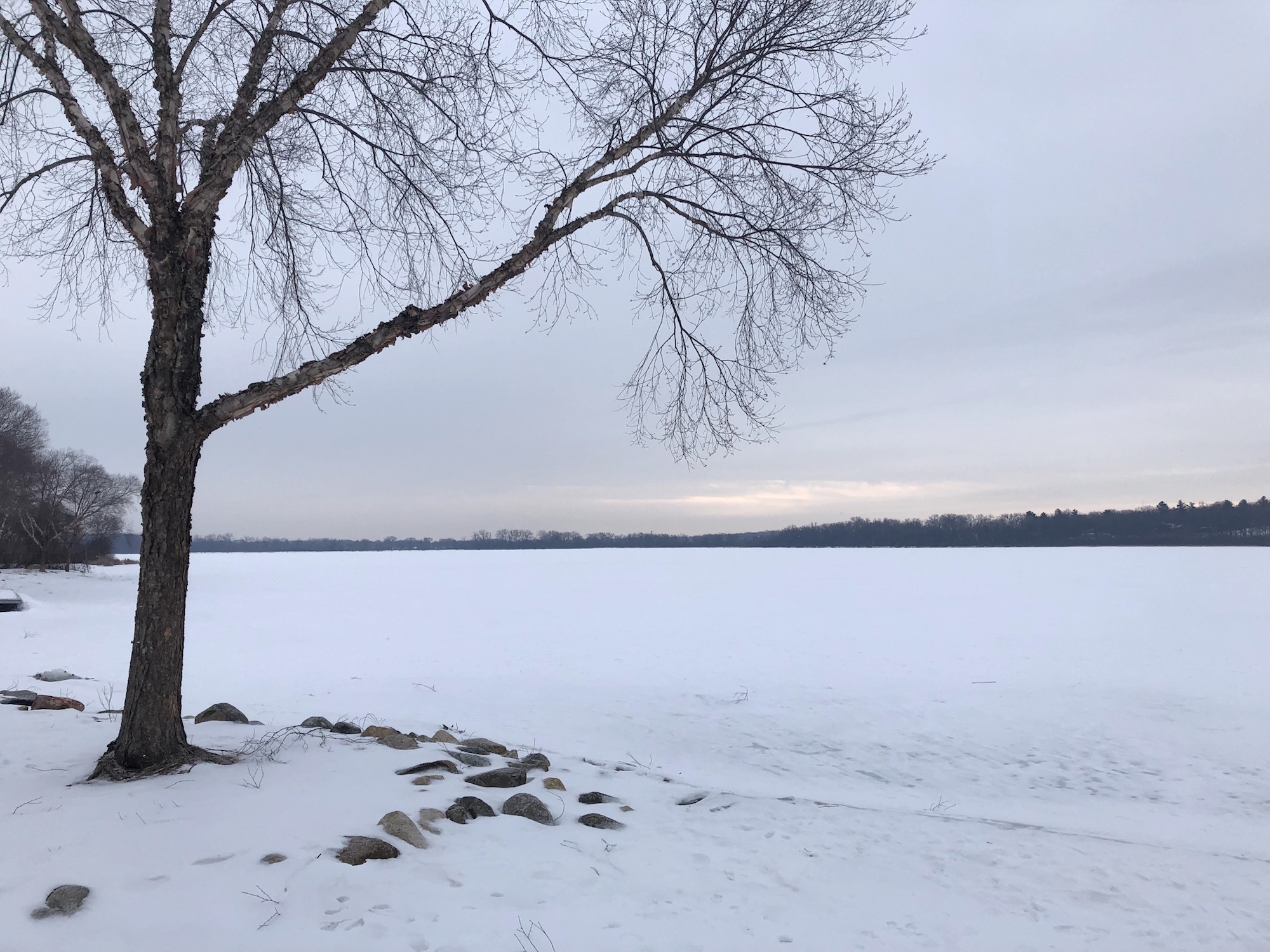 Lake Wingra on March 8, 2019.