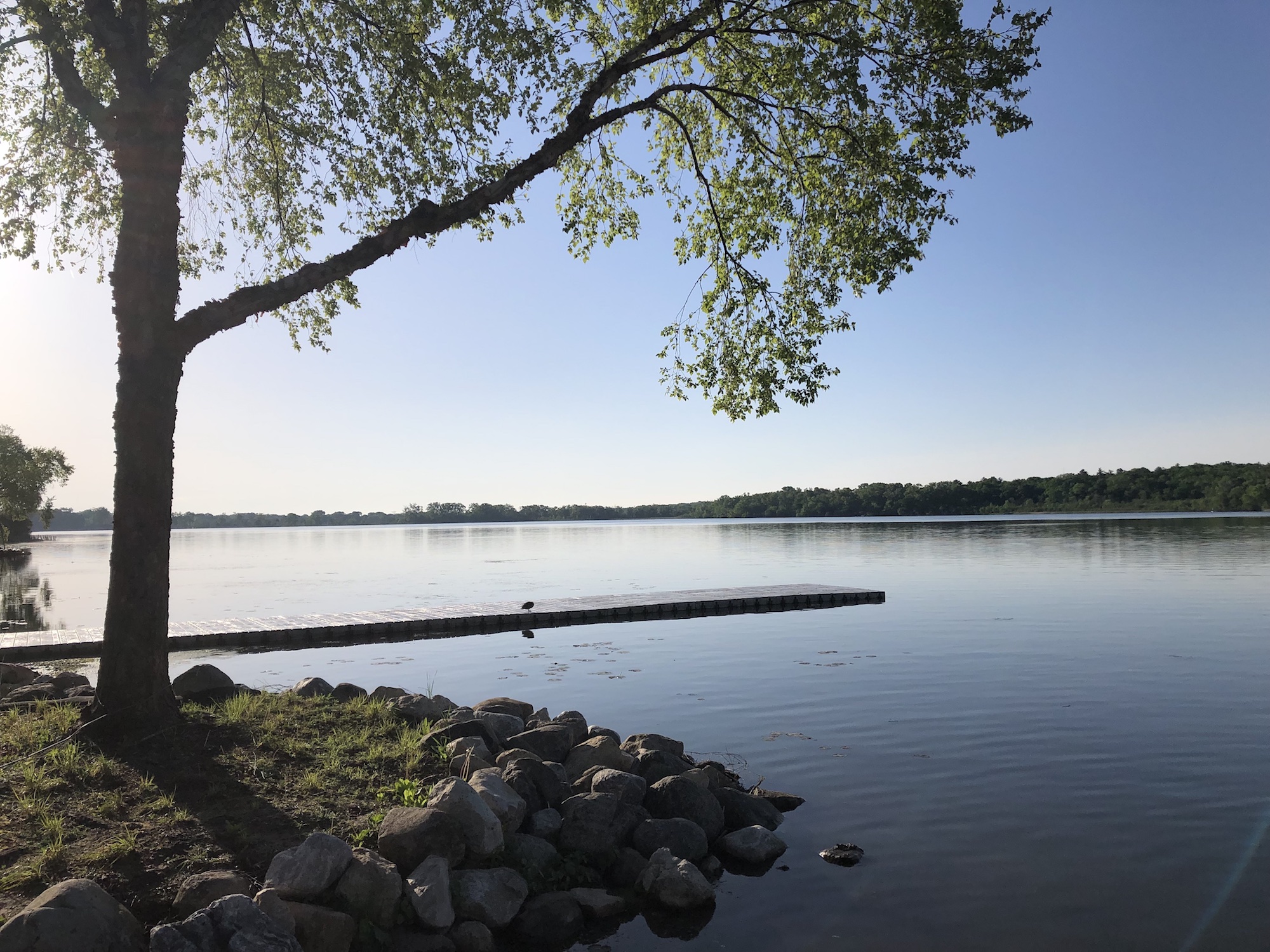 Lake Wingra on June 2, 2019.