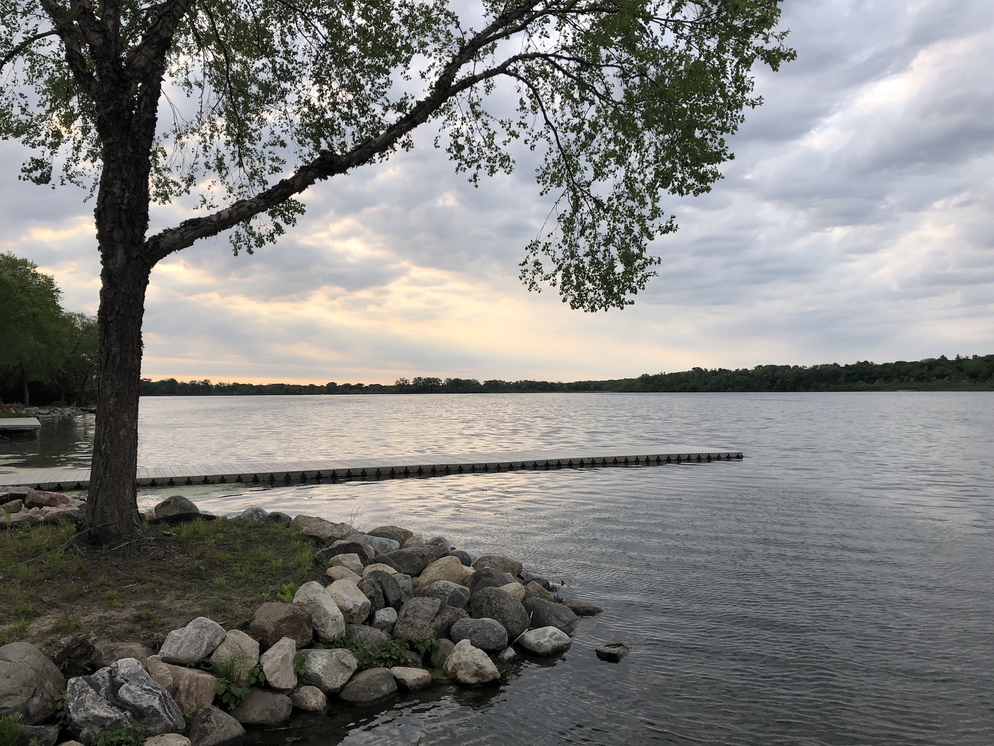 Lake Wingra on June 3, 2019.