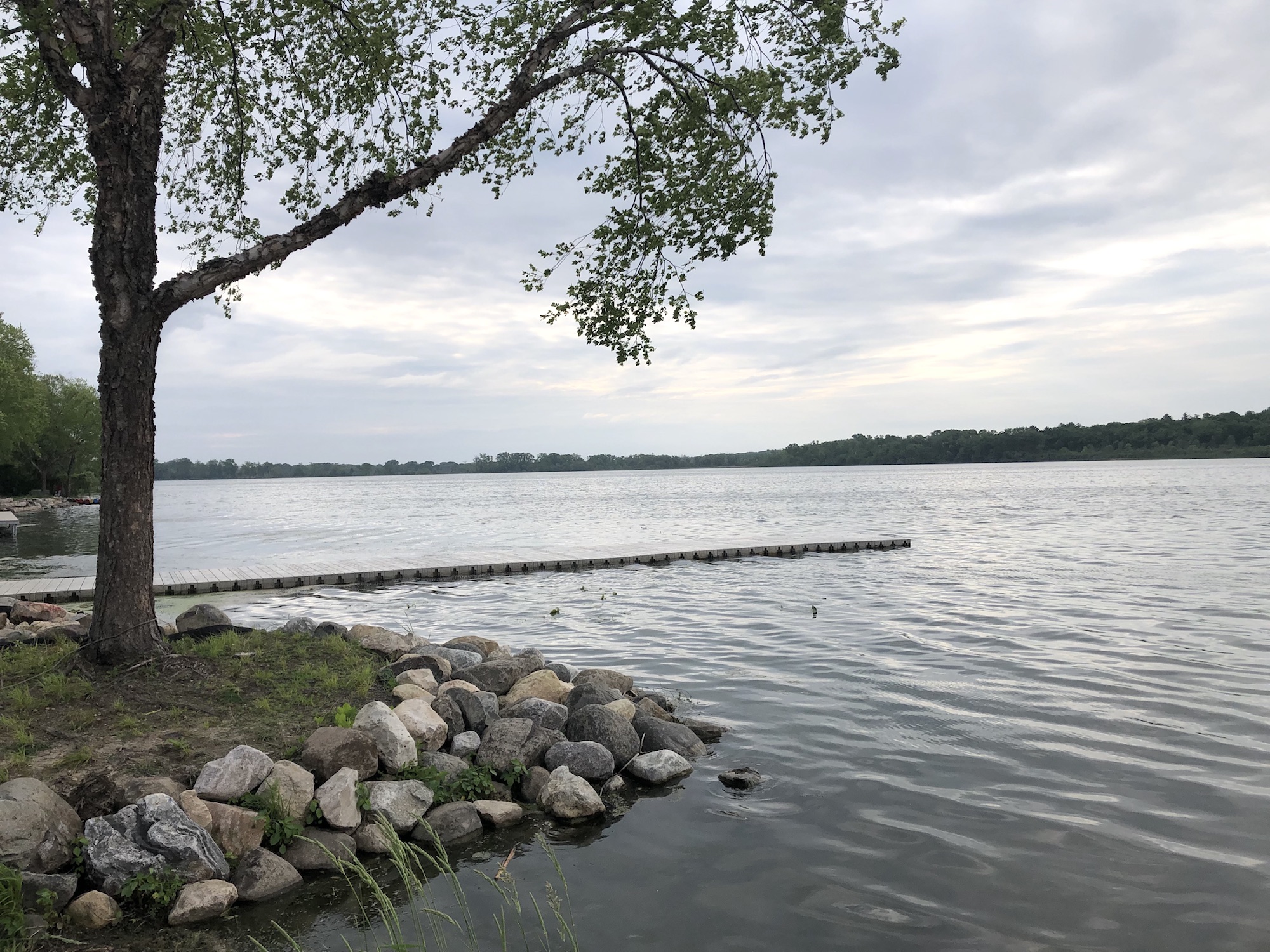 Lake Wingra on June 4, 2019.