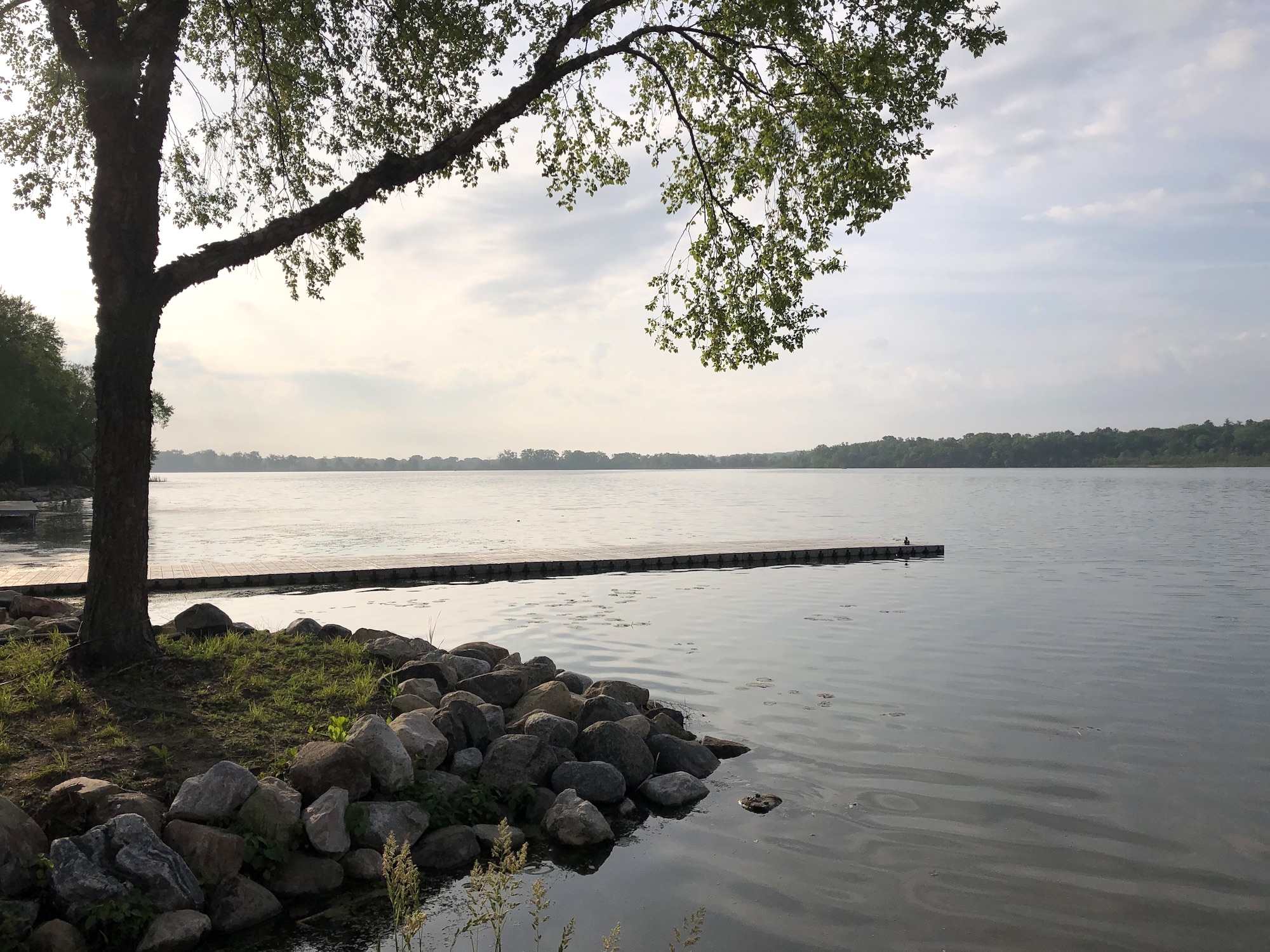 Lake Wingra on June 6, 2019.