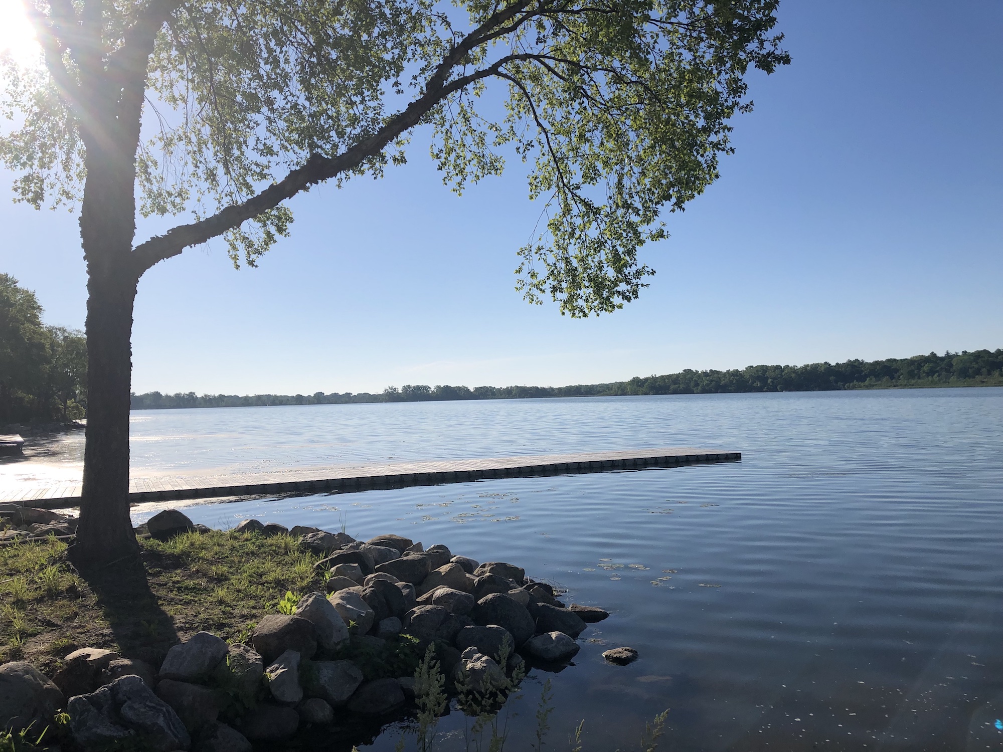 Lake Wingra on June 8, 2019.