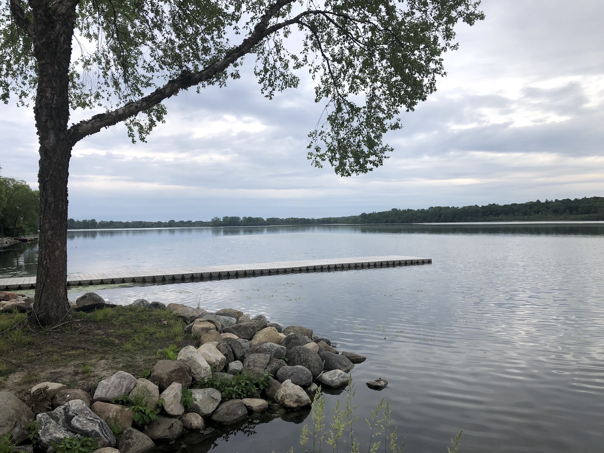 Lake Wingra on June 9, 2019.