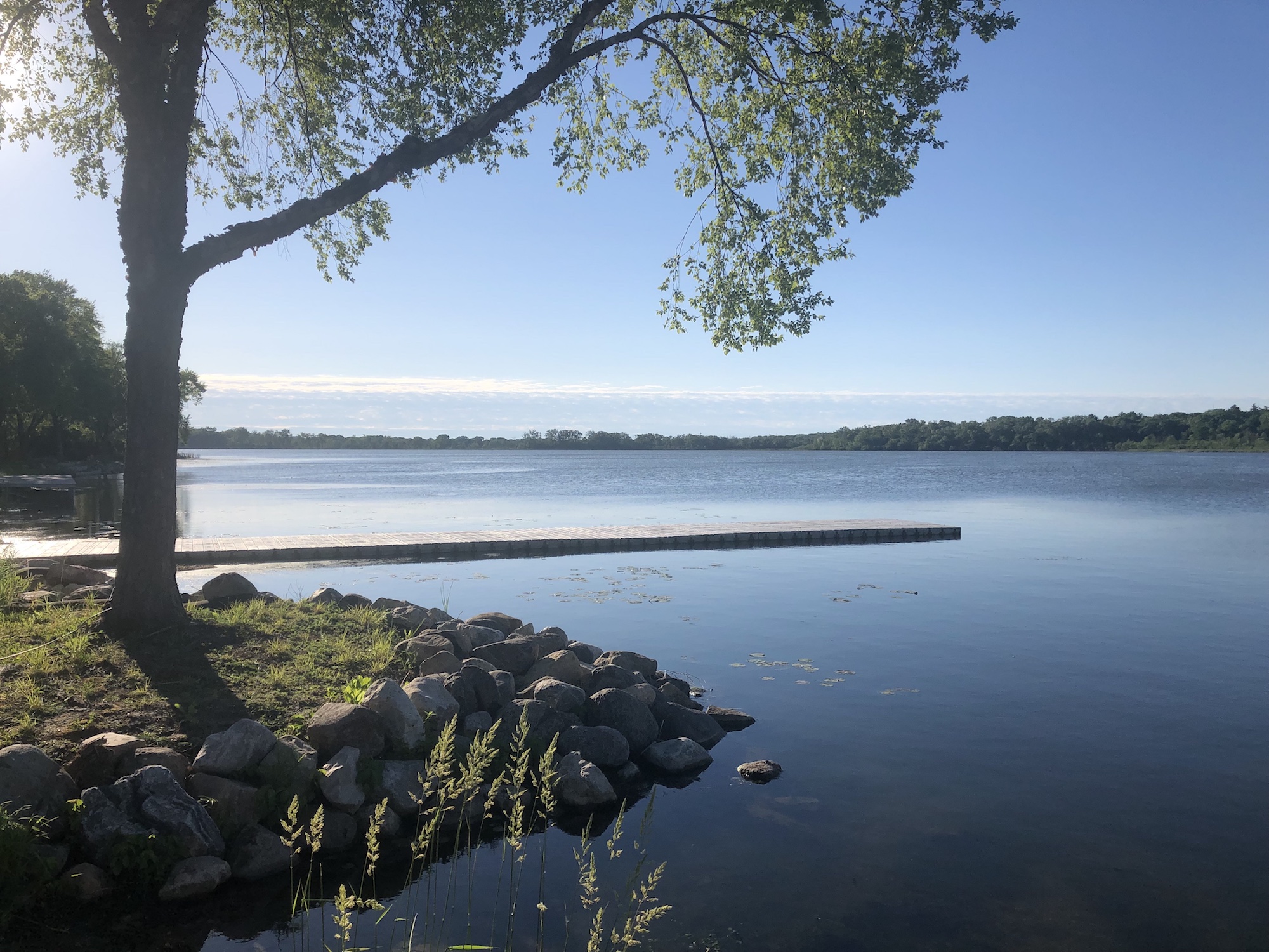 Lake Wingra on June 10, 2019.