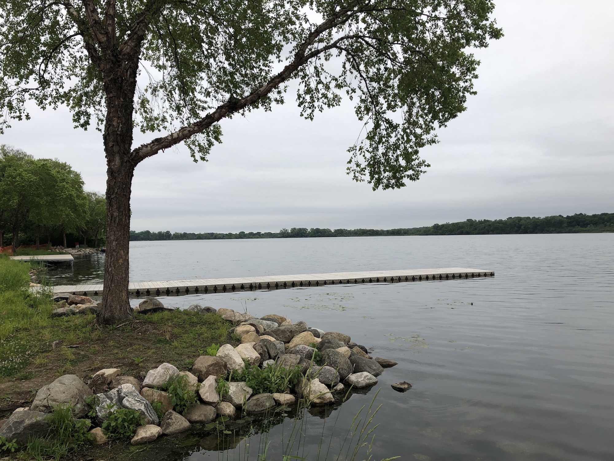 Lake Wingra on June 17, 2019.