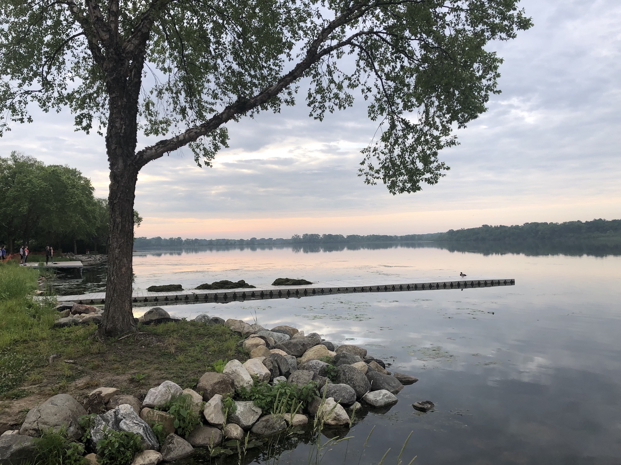 Lake Wingra on June 18, 2019.