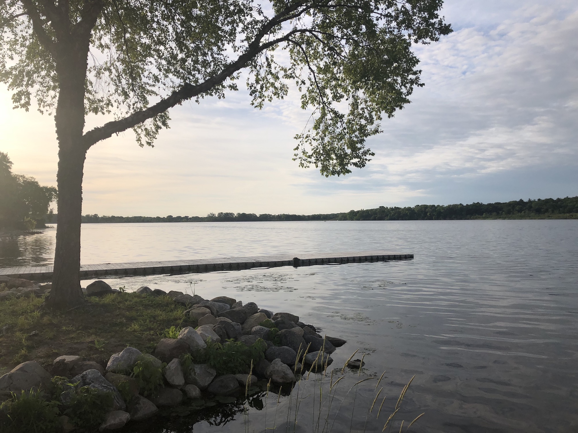 Lake Wingra on June 22, 2019.