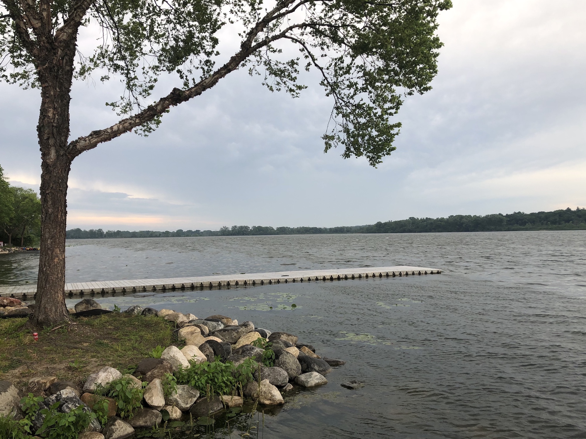 Lake Wingra on June 23, 2019.