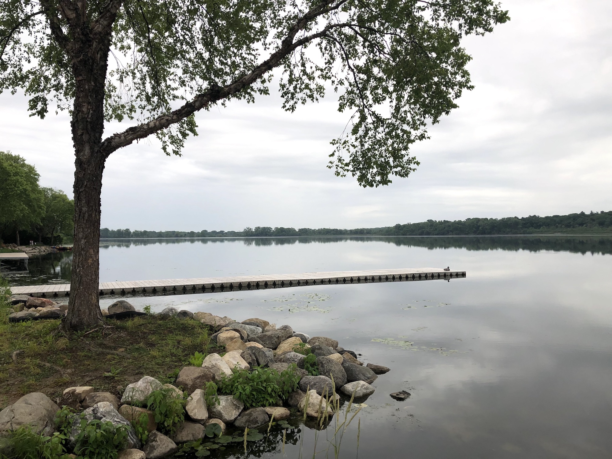 Lake Wingra on June 24, 2019.