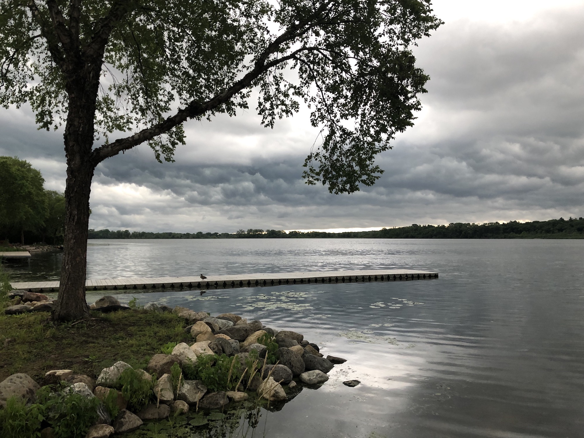 Lake Wingra on June 28, 2019.