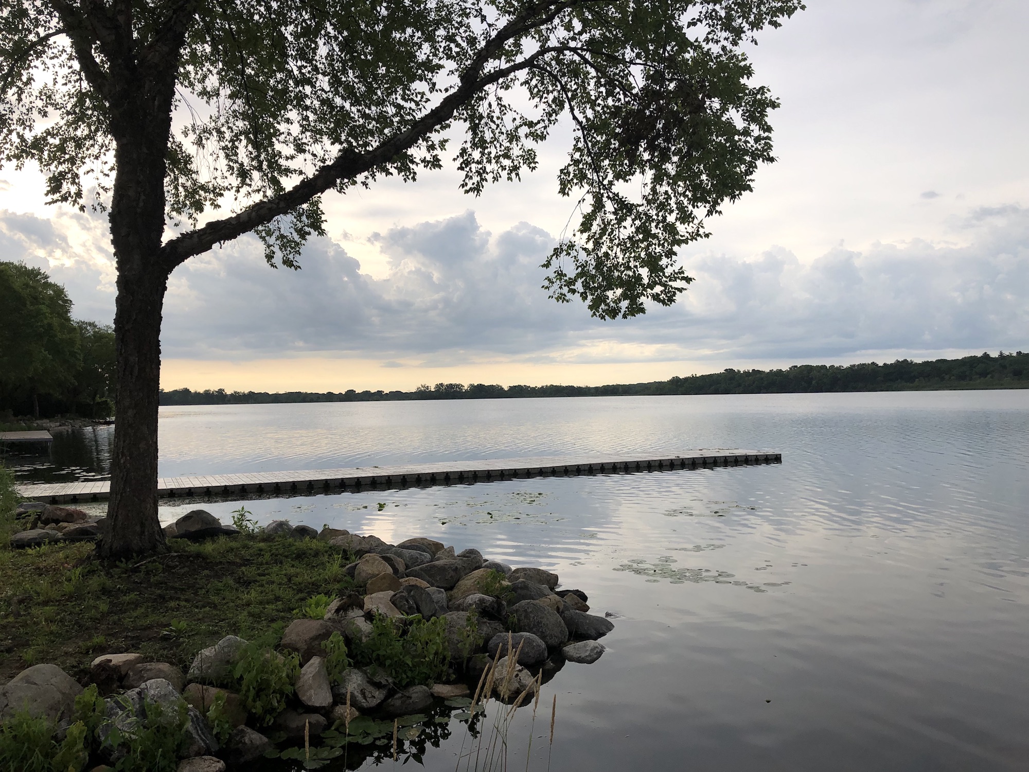 Lake Wingra on July 1, 2019.