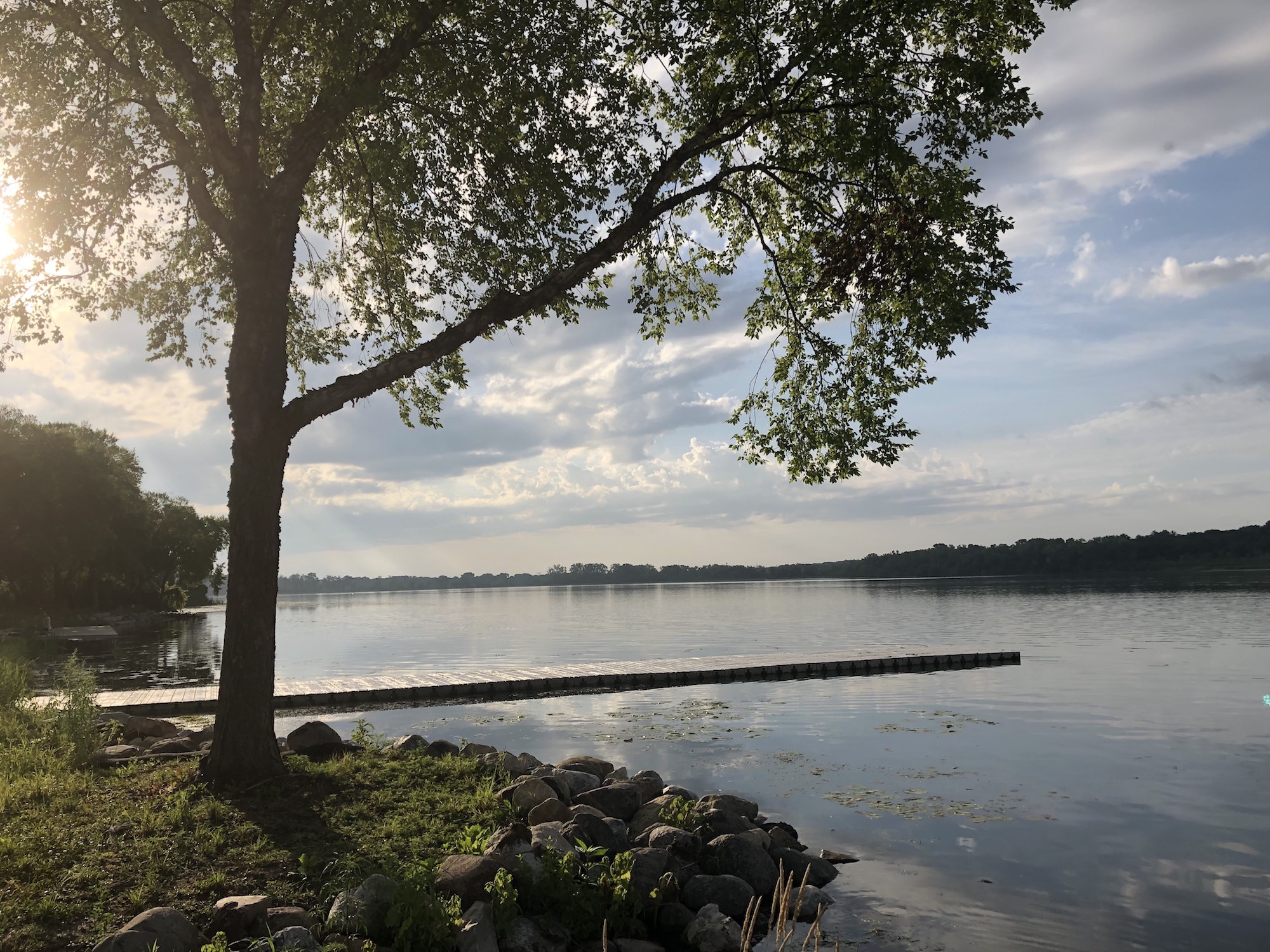 Lake Wingra on July 2, 2019.