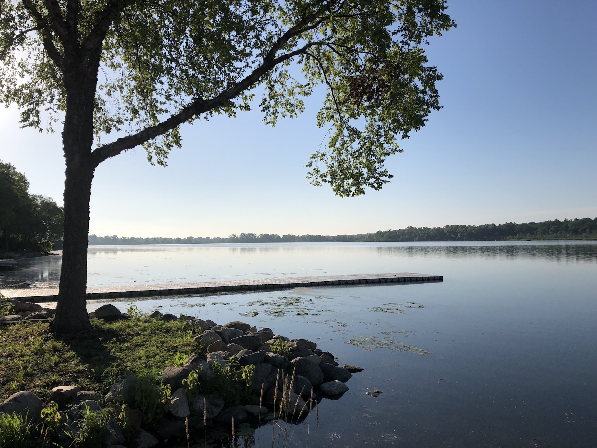 Lake Wingra on July 5, 2019.