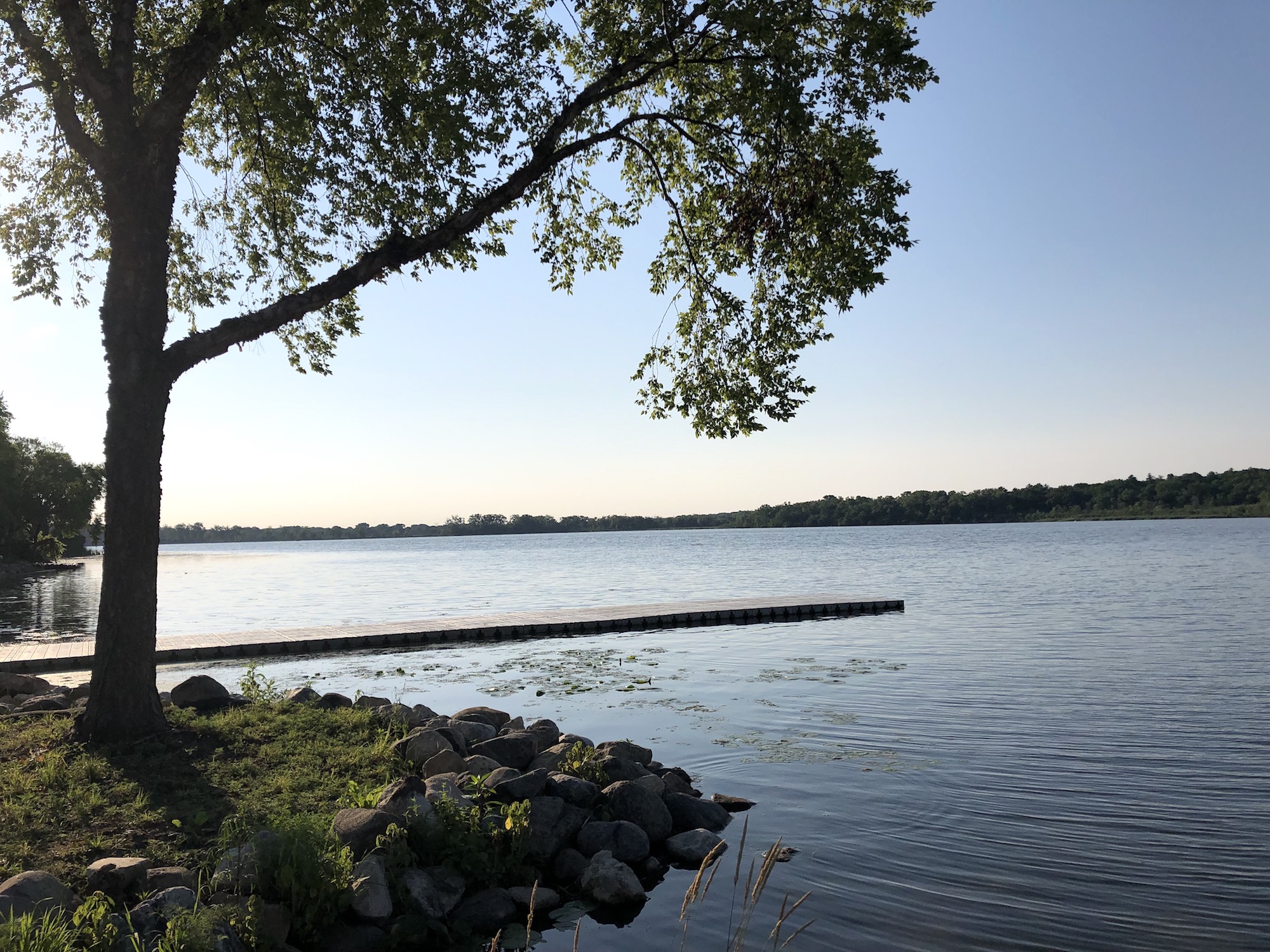 Lake Wingra on July 7, 2019.