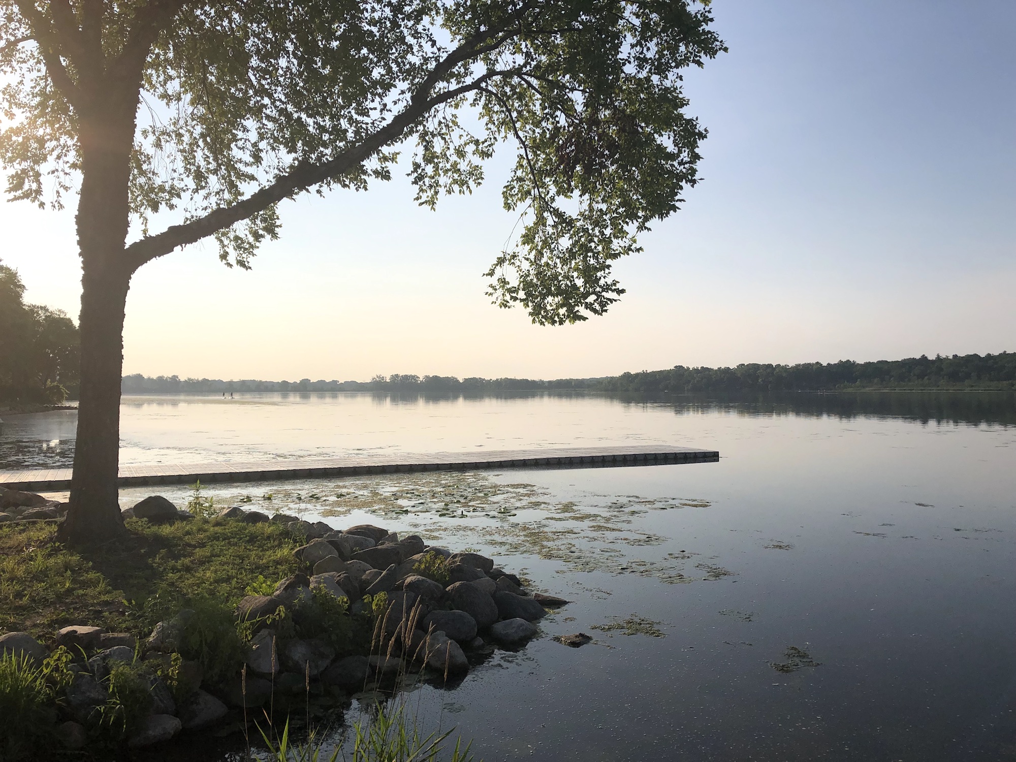 Lake Wingra on July 9, 2019.
