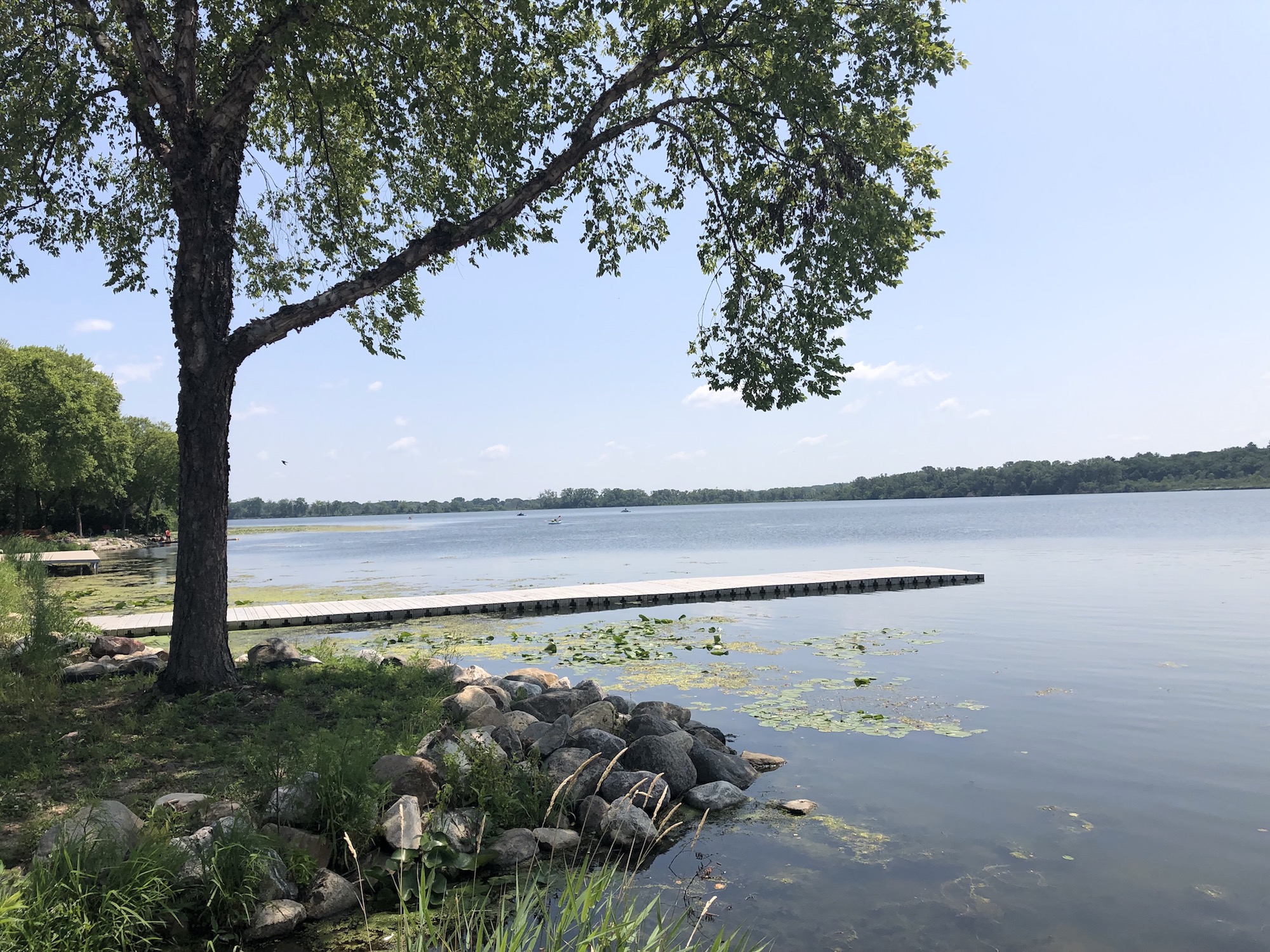 Lake Wingra on July 23, 2019.