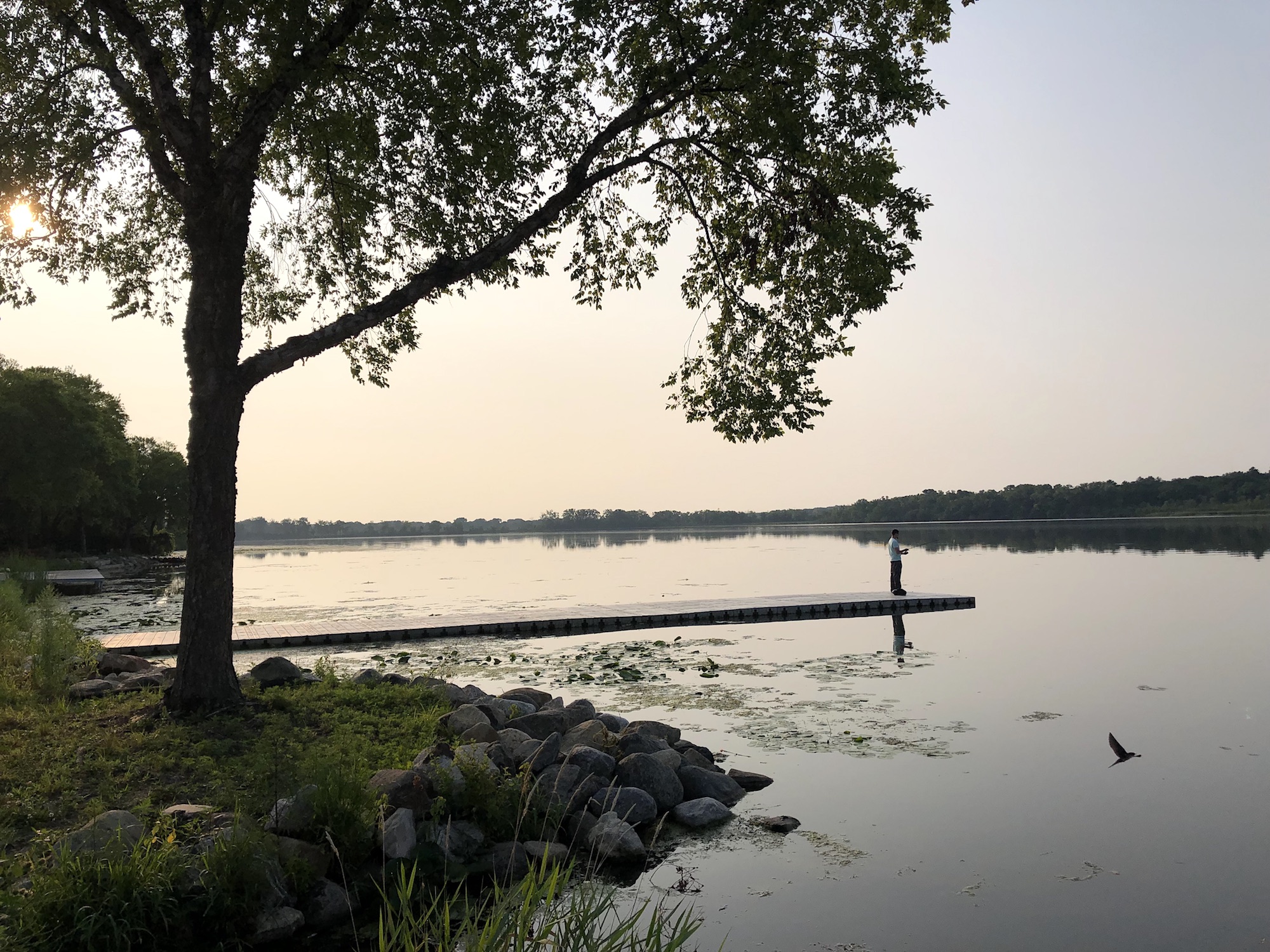 Lake Wingra on July 24, 2019.