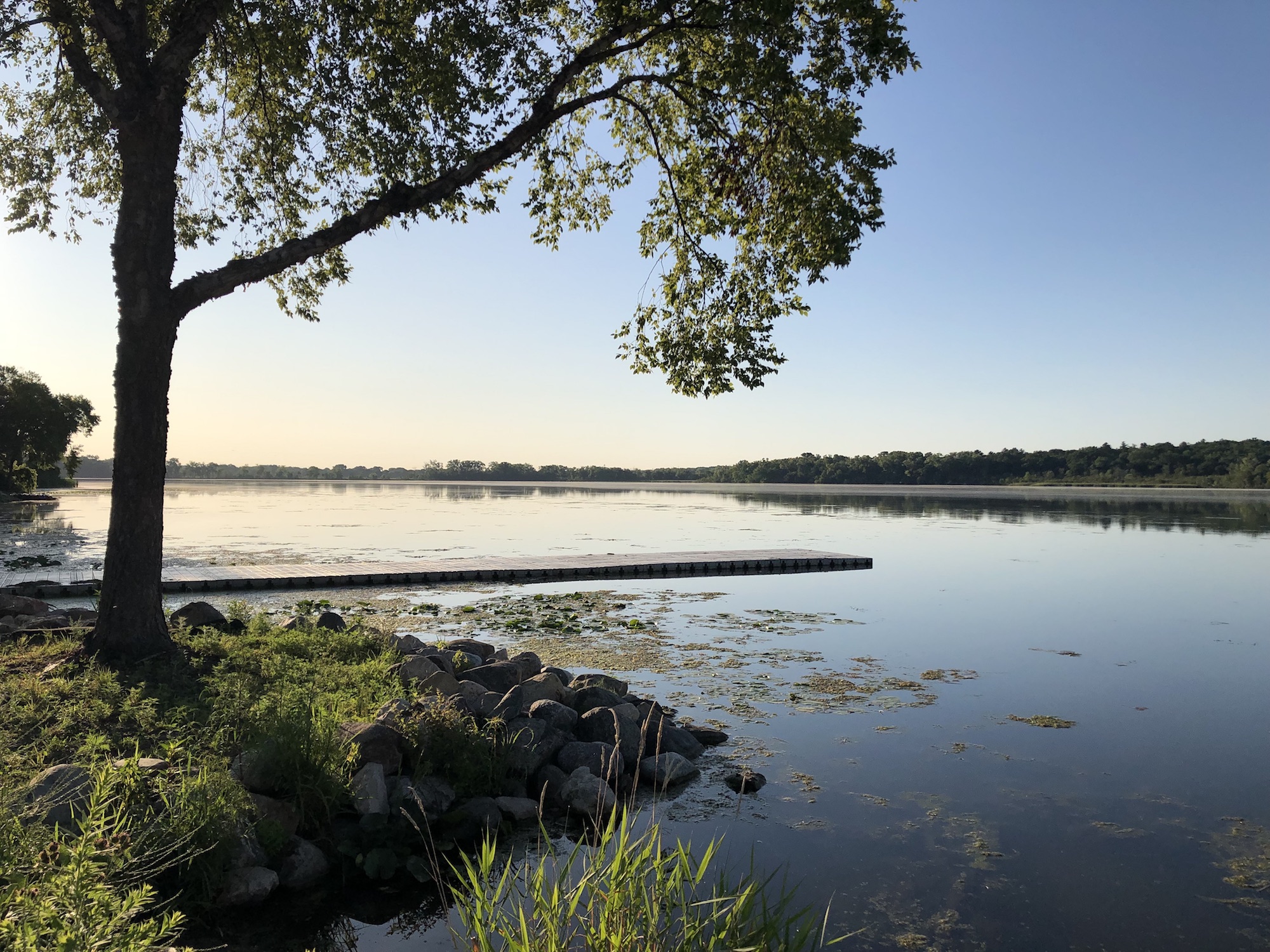 Lake Wingra on August 1, 2019.