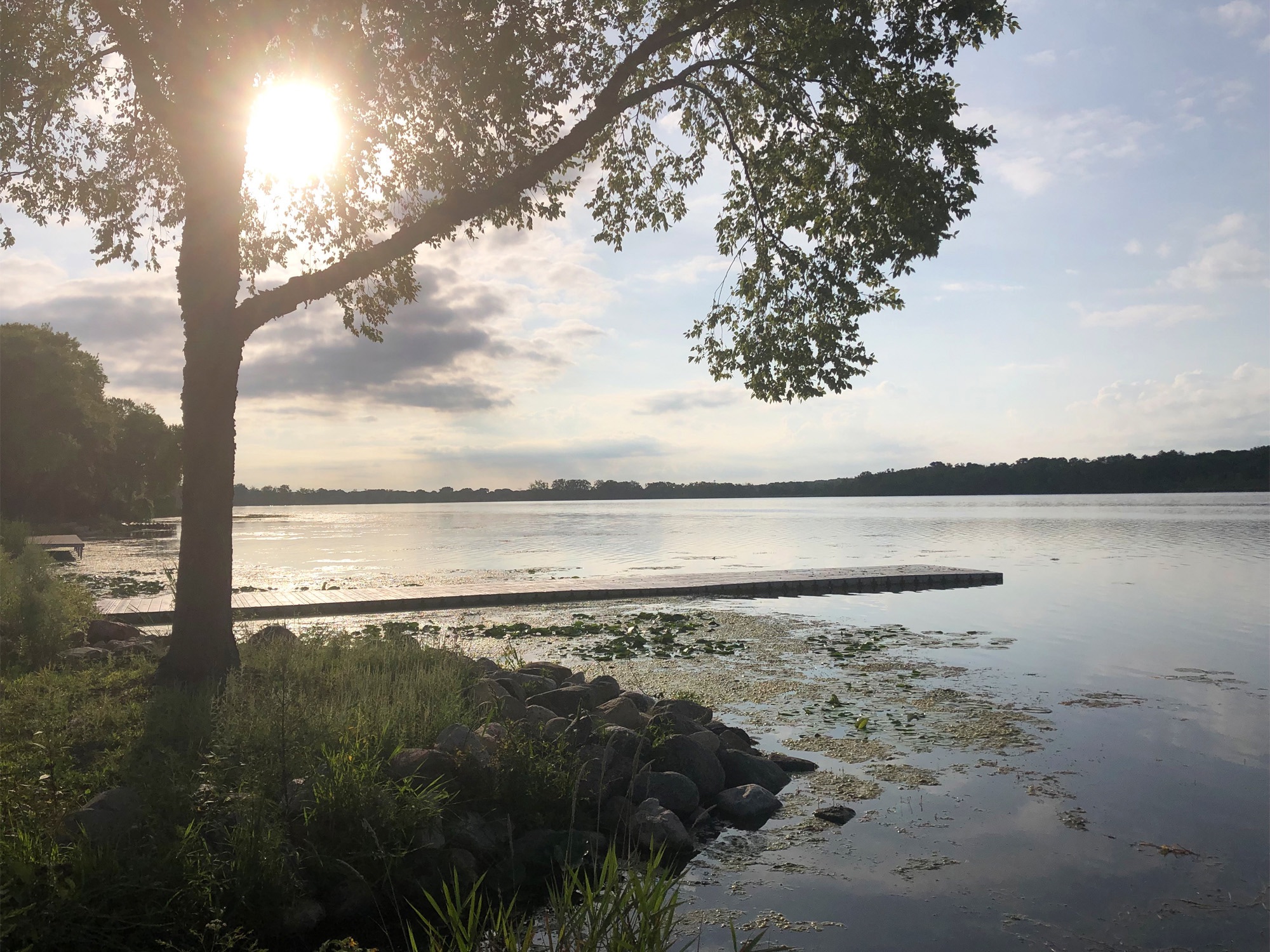 Lake Wingra on August 21, 2019.