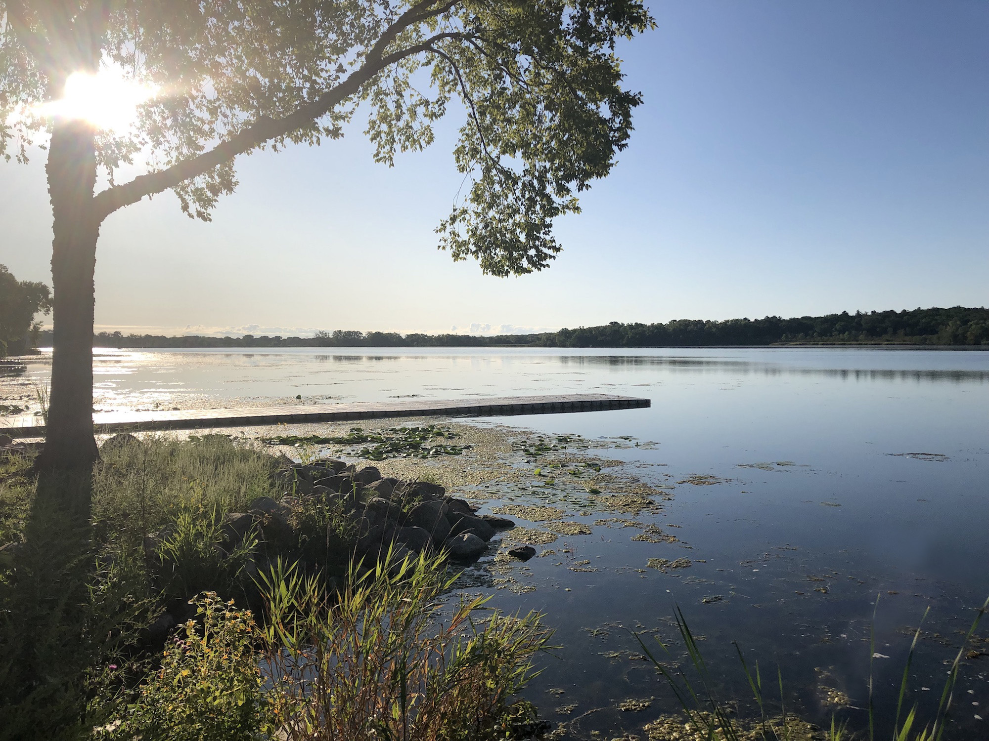 Lake Wingra on August 24, 2019.
