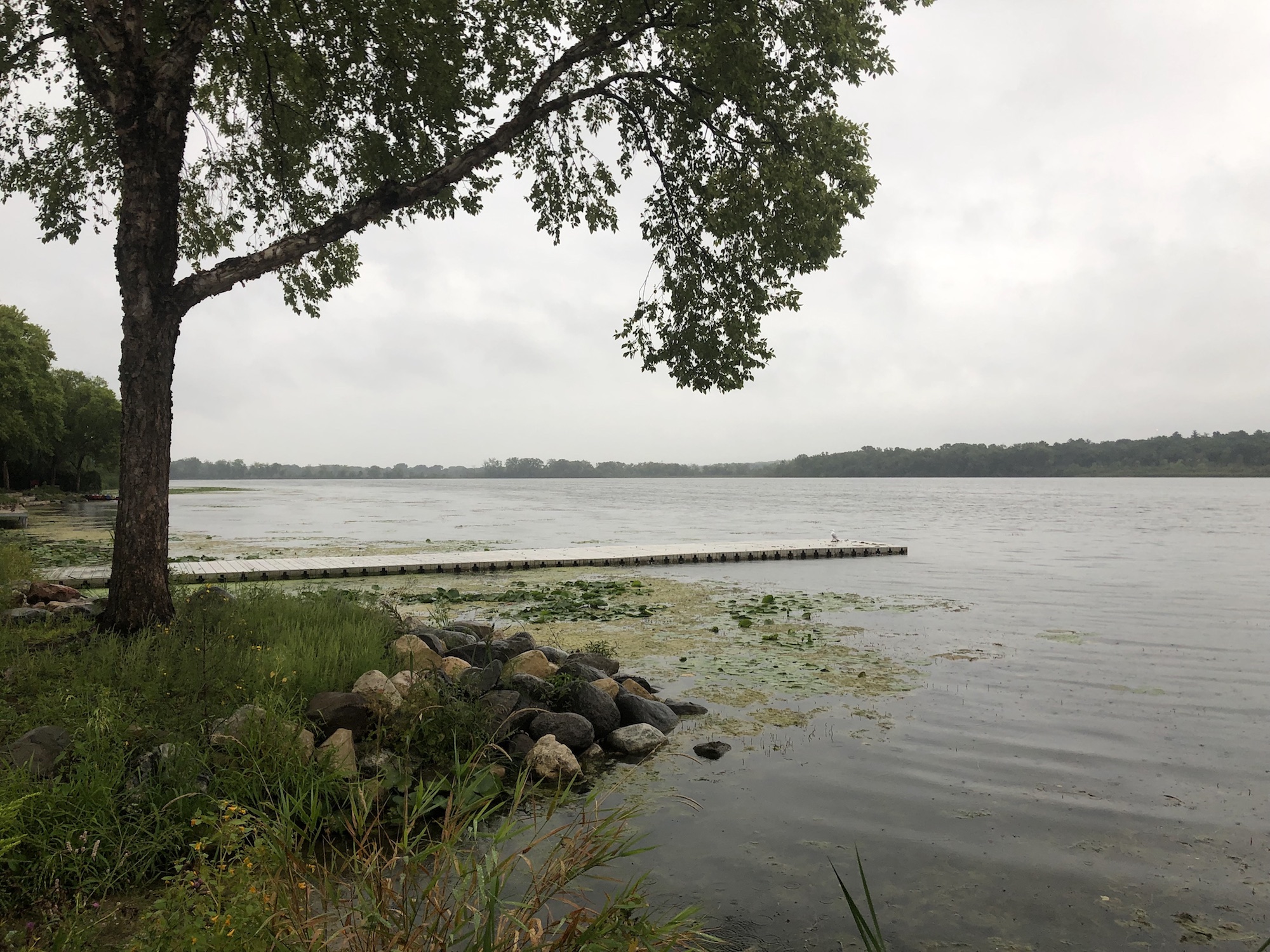 Lake Wingra on August 26, 2019.