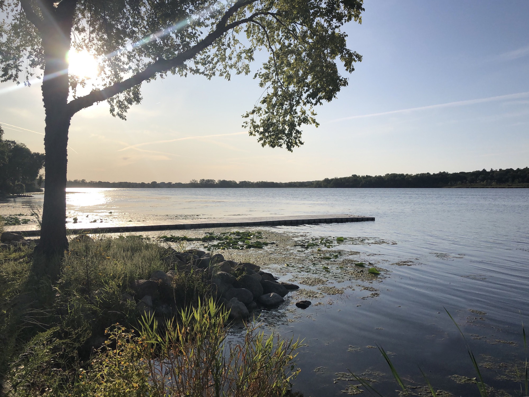 Lake Wingra on August 28, 2019.