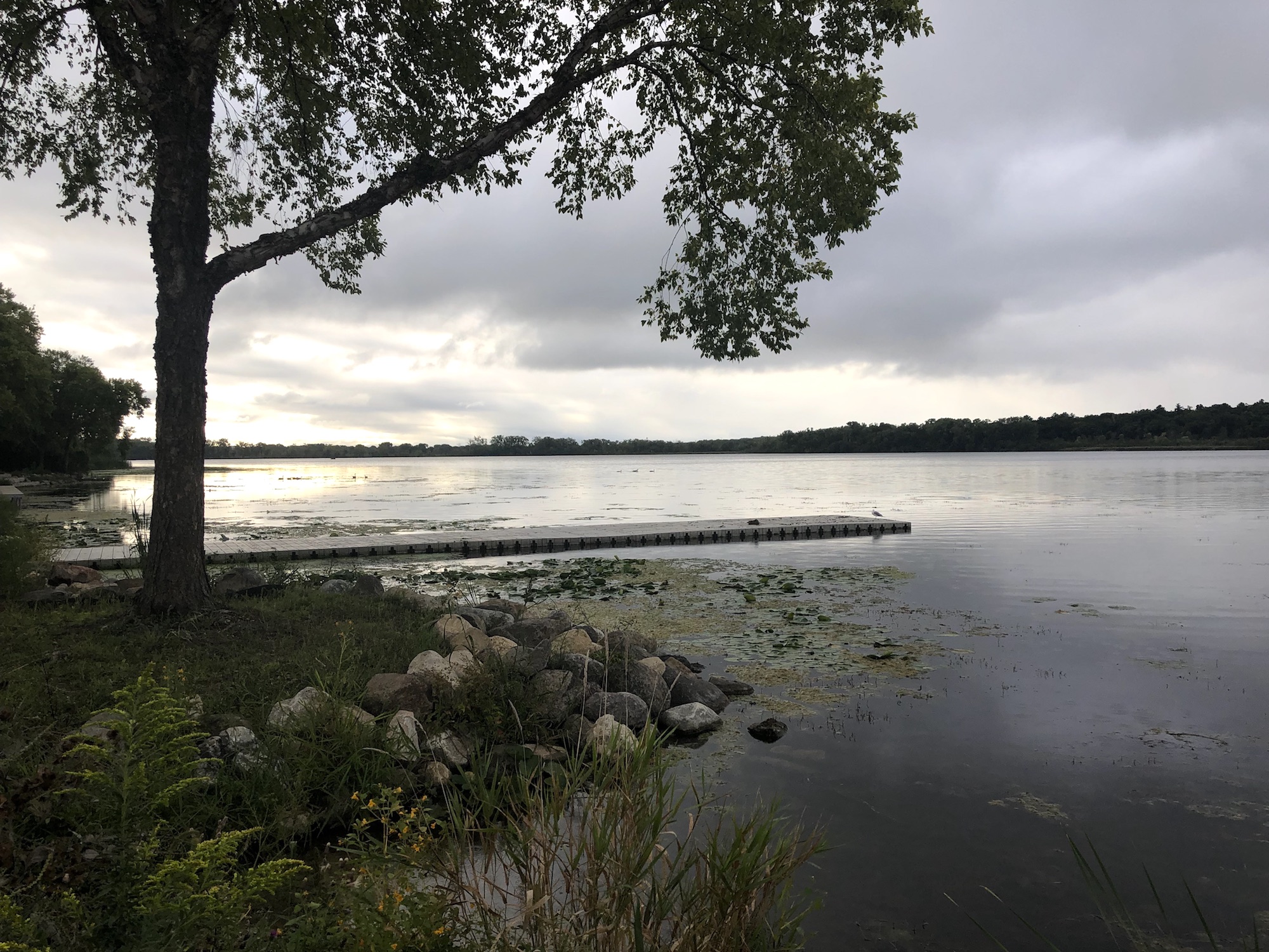 Lake Wingra on September 4, 2019.