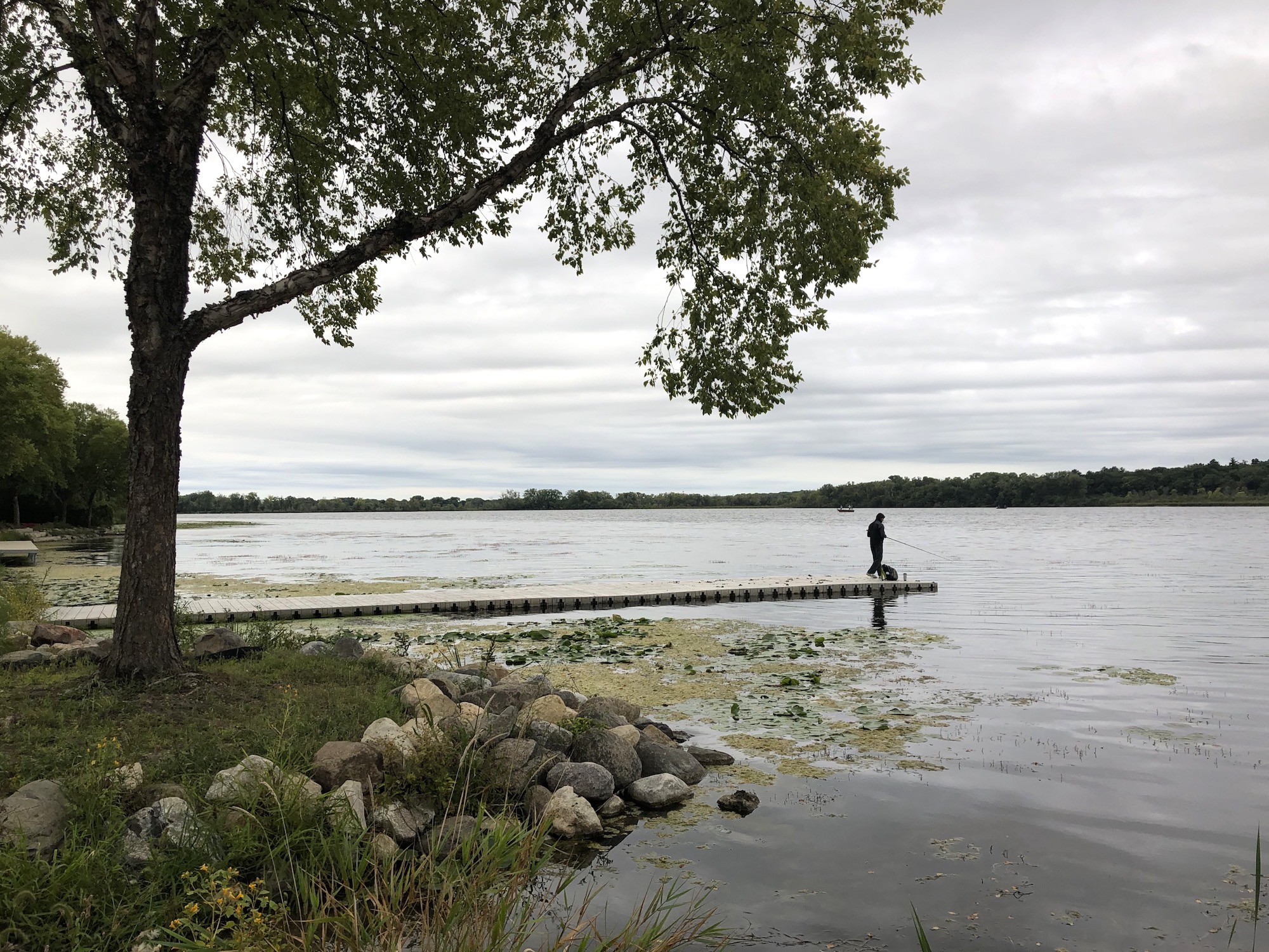 Lake Wingra on September 8, 2019.