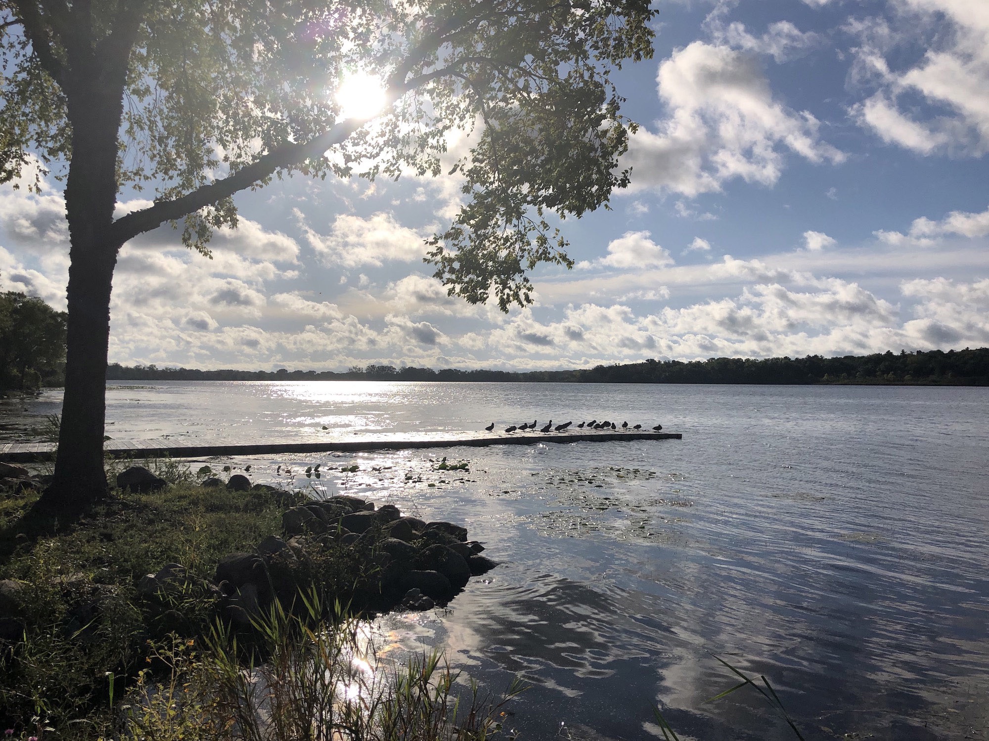 Lake Wingra on September 13, 2019.