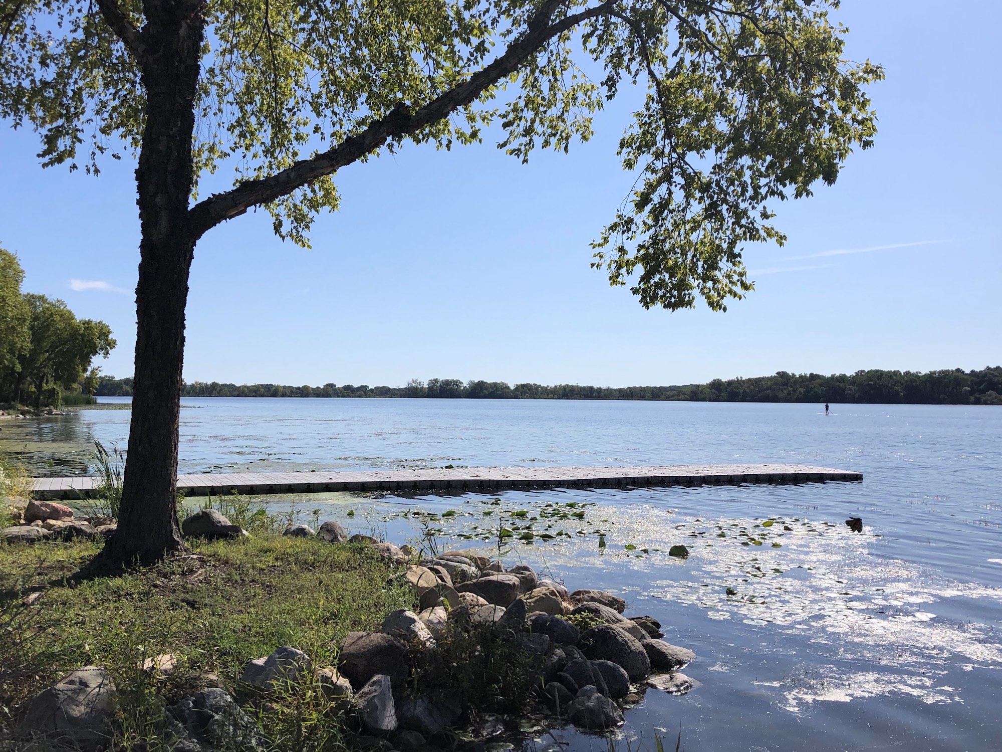 Lake Wingra on September 14, 2019.