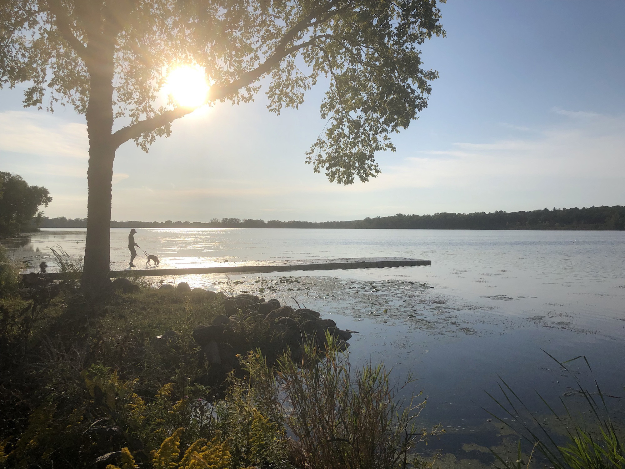 Lake Wingra on September 15, 2019.